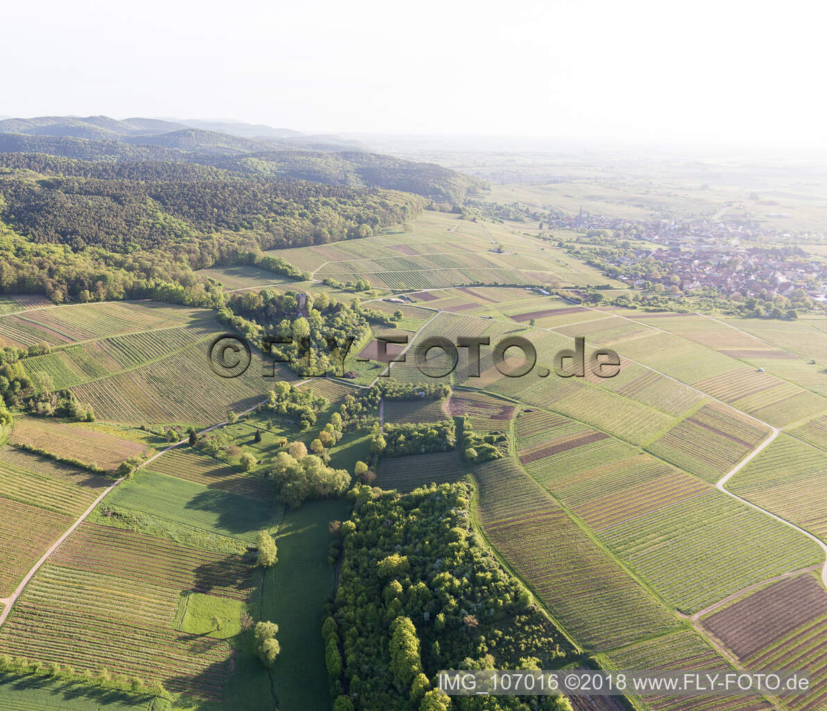 Vignoble Sonnenberg à Wissembourg dans le département Bas Rhin, France d'en haut