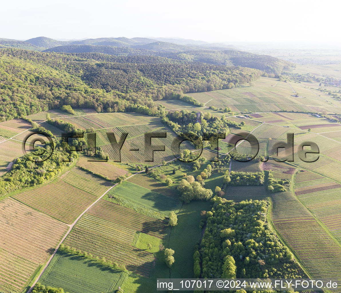 Vignoble Sonnenberg à Wissembourg dans le département Bas Rhin, France hors des airs