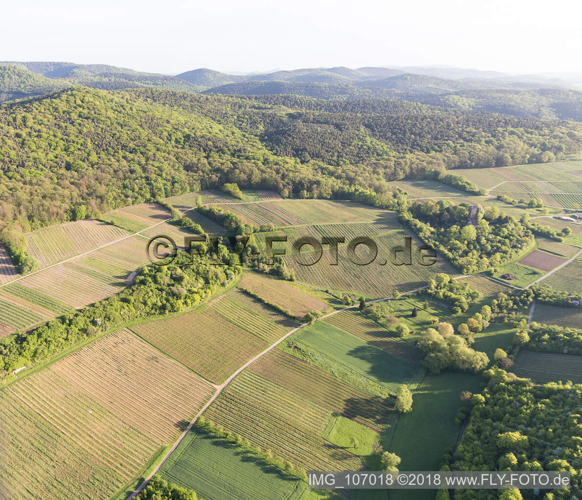Vignoble Sonnenberg à Wissembourg dans le département Bas Rhin, France vue d'en haut