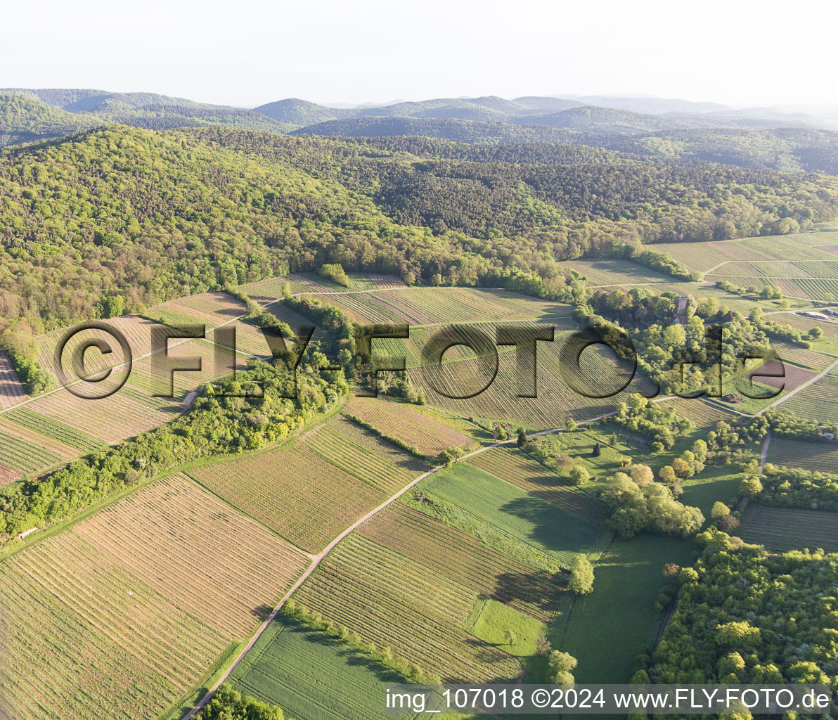 Vignoble Sonnenberg à Wissembourg dans le département Bas Rhin, France vue d'en haut