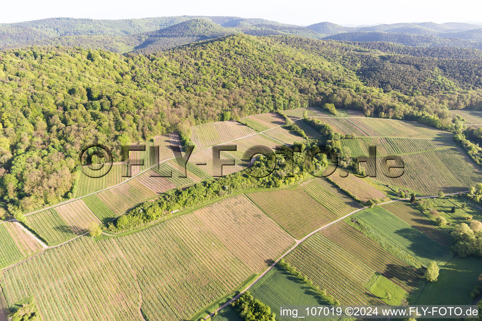 Vignoble Sonnenberg à Wissembourg dans le département Bas Rhin, France depuis l'avion