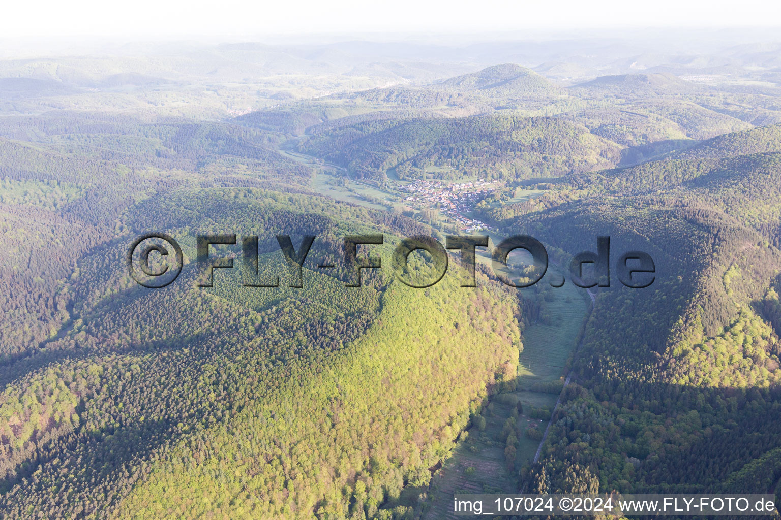 Vue aérienne de Niederschlettenbach dans le département Rhénanie-Palatinat, Allemagne