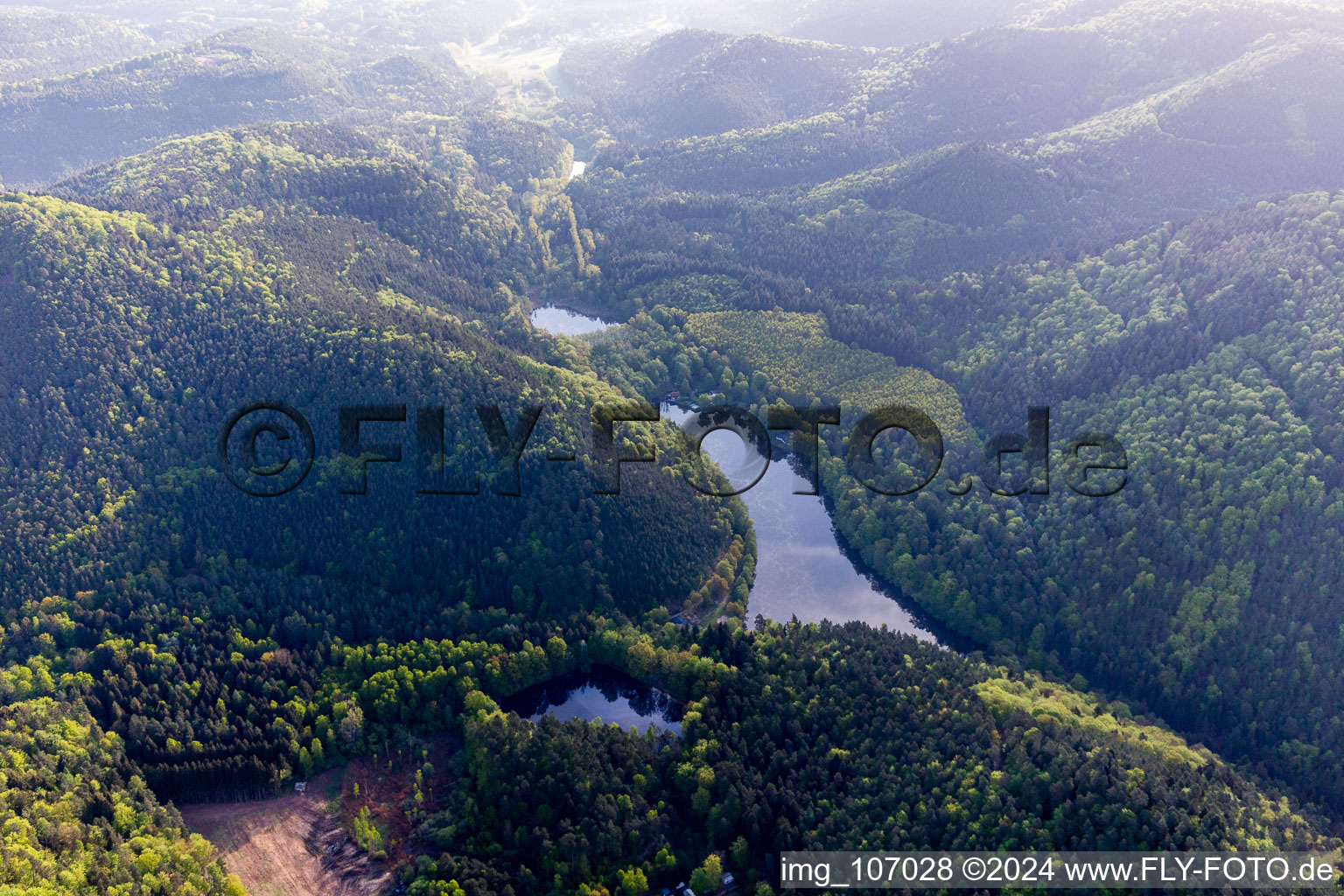 Vue aérienne de Étang du Seehof à Erlenbach bei Dahn dans le département Rhénanie-Palatinat, Allemagne