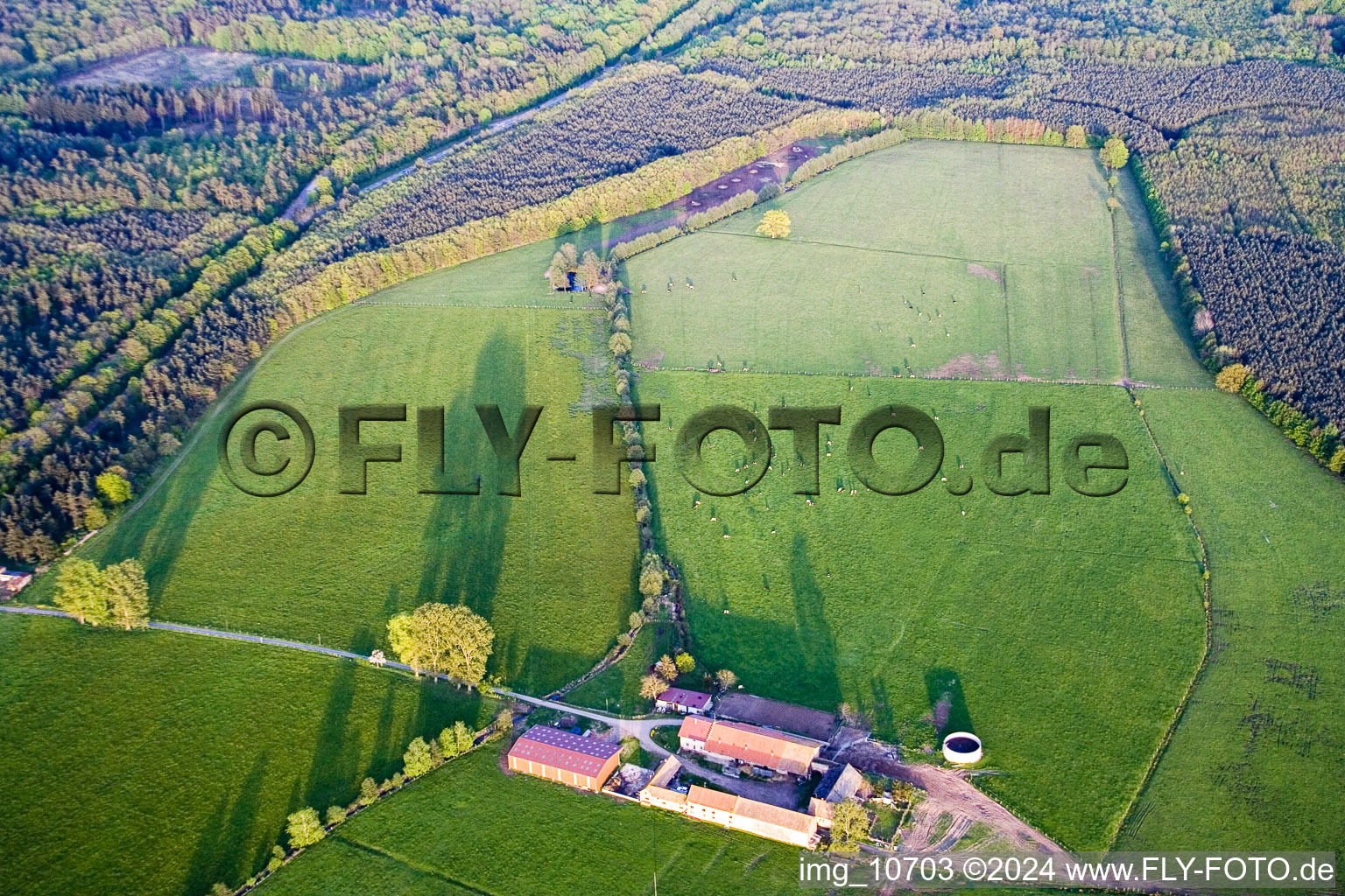 Mertzwiller dans le département Bas Rhin, France vue du ciel