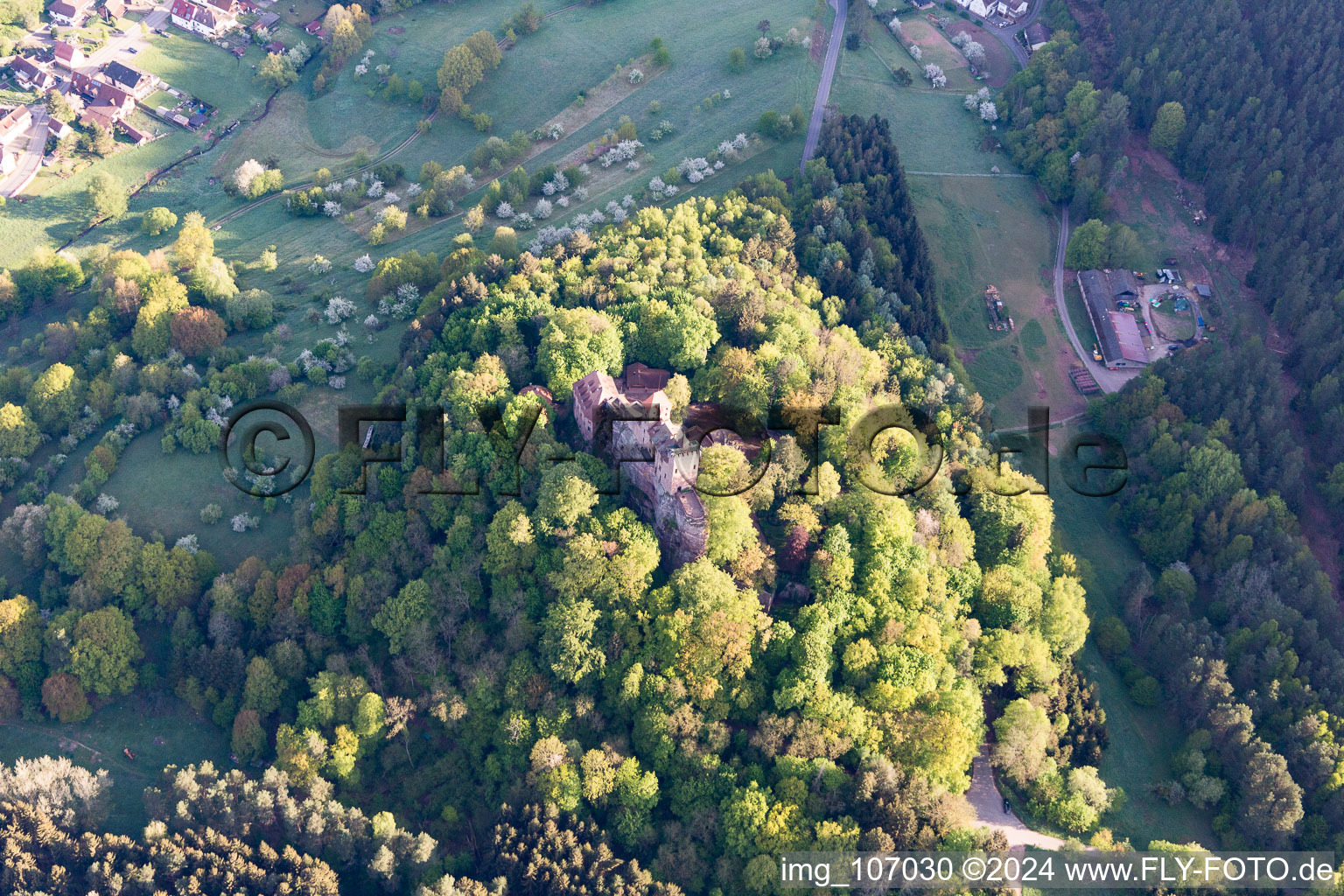 Vue aérienne de Château de Berwartstein à Erlenbach bei Dahn dans le département Rhénanie-Palatinat, Allemagne