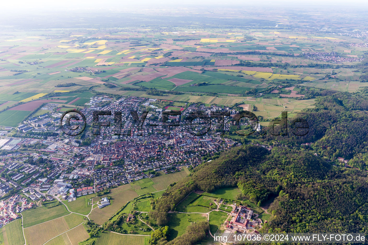 Bad Bergzabern dans le département Rhénanie-Palatinat, Allemagne depuis l'avion