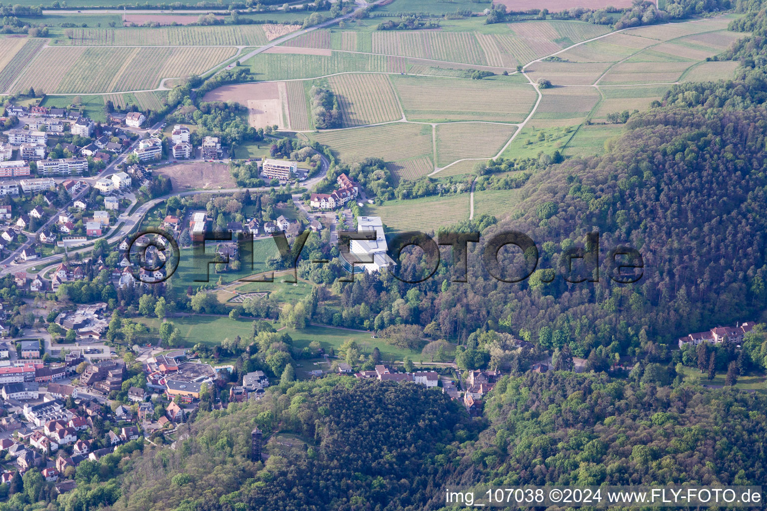 Vue d'oiseau de Bad Bergzabern dans le département Rhénanie-Palatinat, Allemagne