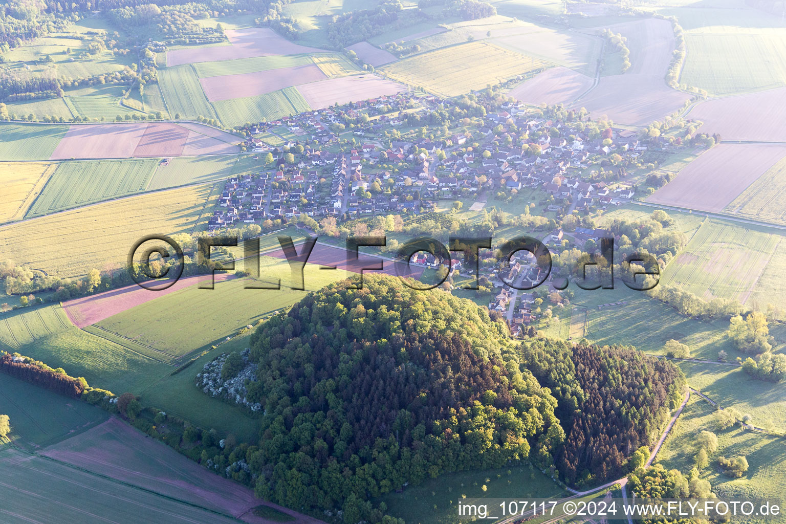 Vue aérienne de Negenborn dans le département Basse-Saxe, Allemagne