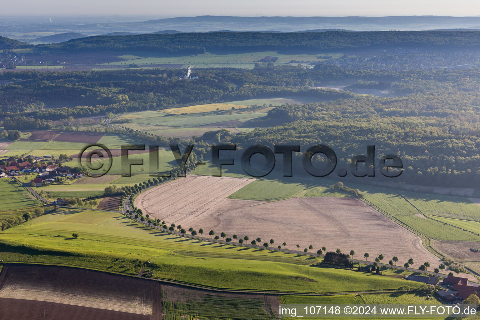 Vue aérienne de Rangée d'arbres sur une route de campagne au bord d'un champ à Capellenhagen à le quartier Fölziehausen in Duingen dans le département Basse-Saxe, Allemagne