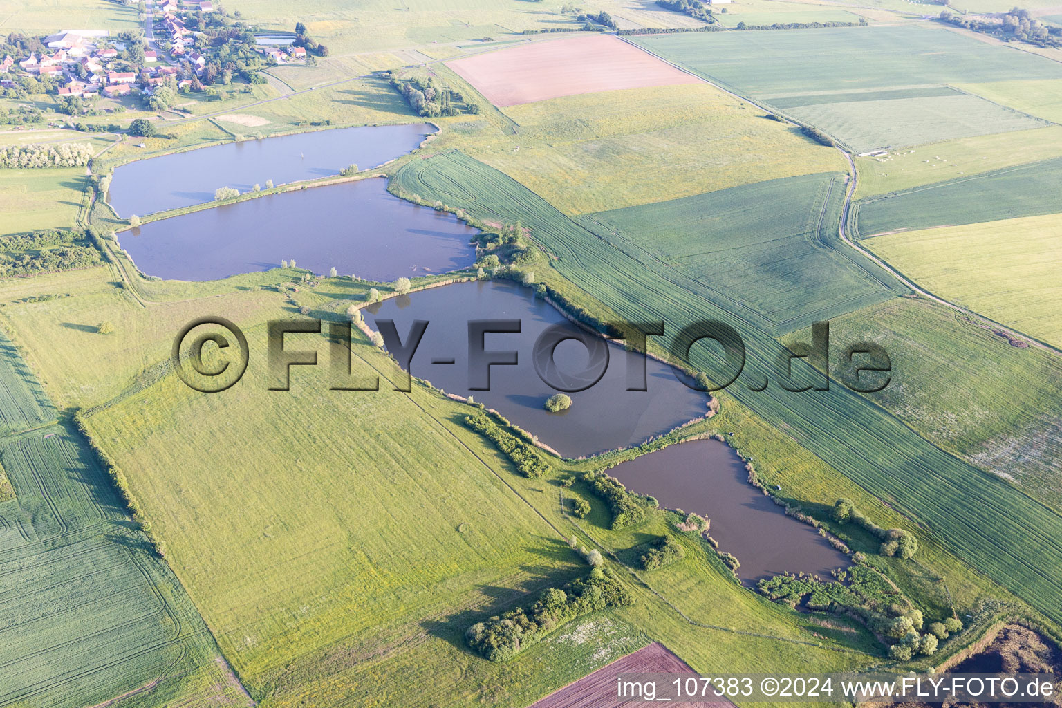 Vue aérienne de Cing étang à Le Val-de-Guéblange dans le département Moselle, France