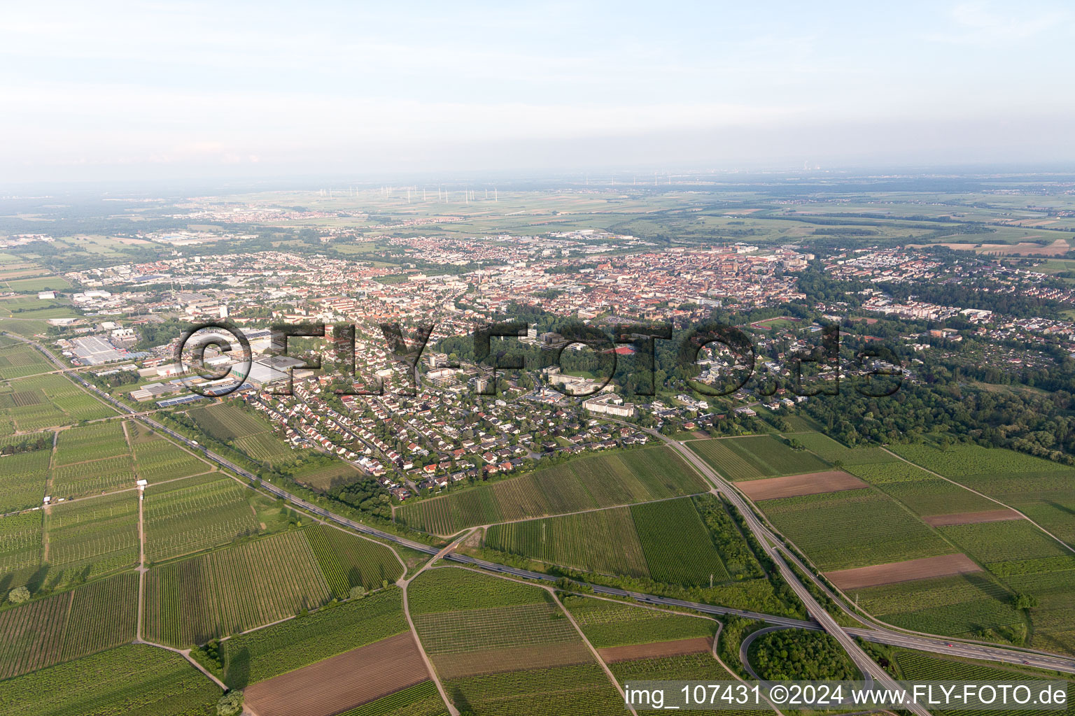 Image drone de Landau in der Pfalz dans le département Rhénanie-Palatinat, Allemagne