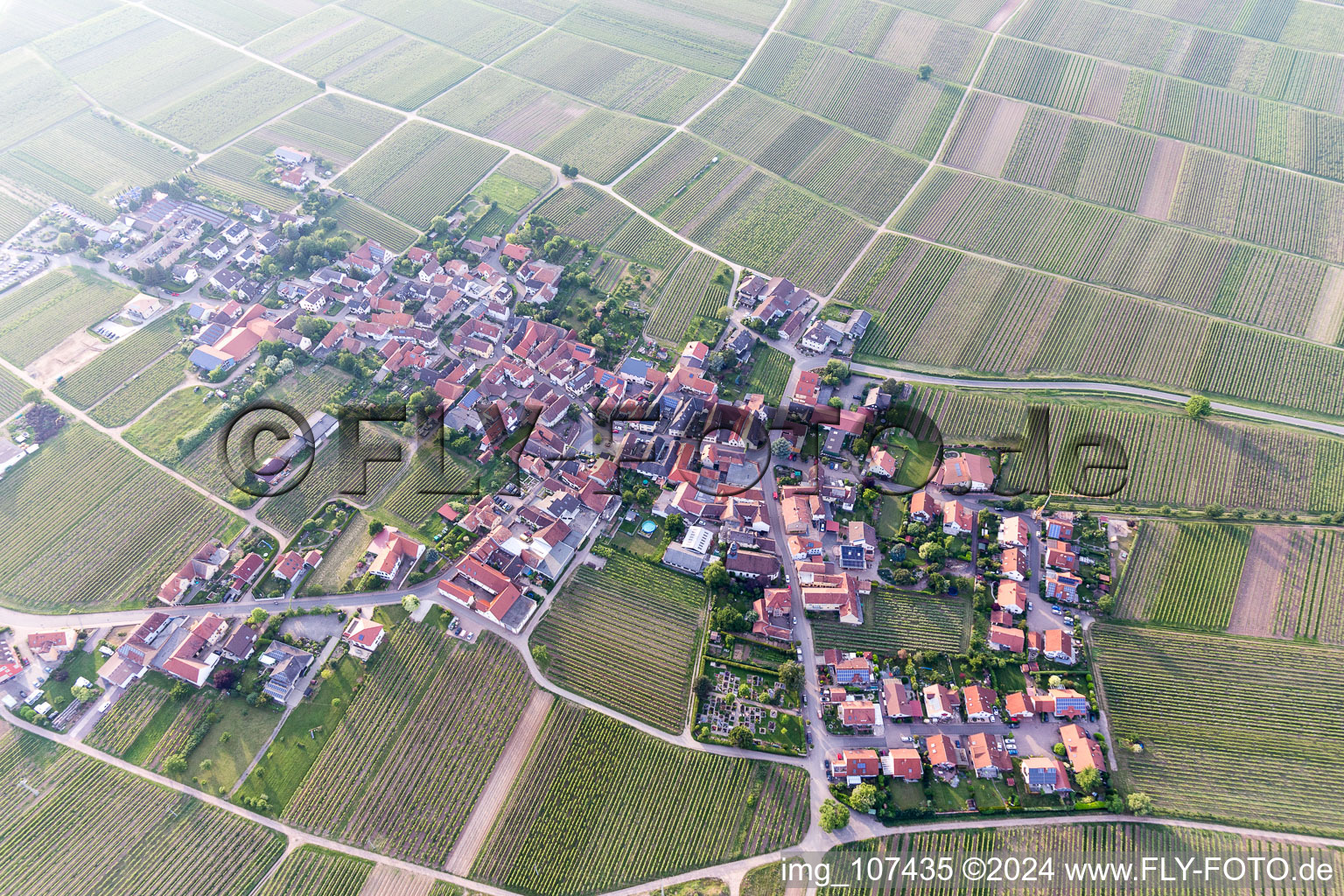 Photographie aérienne de Flemlingen dans le département Rhénanie-Palatinat, Allemagne