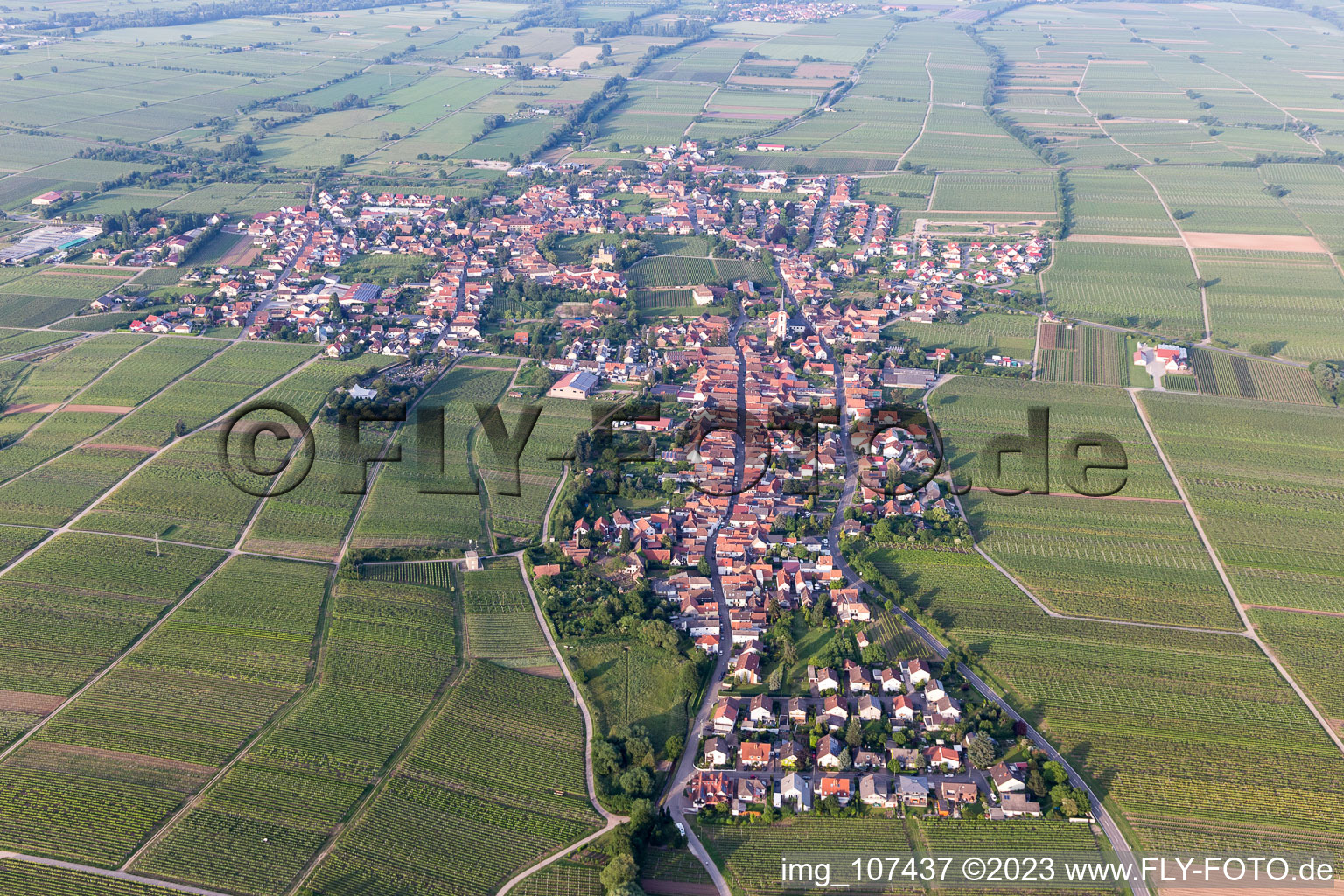 Vue oblique de Edesheim dans le département Rhénanie-Palatinat, Allemagne