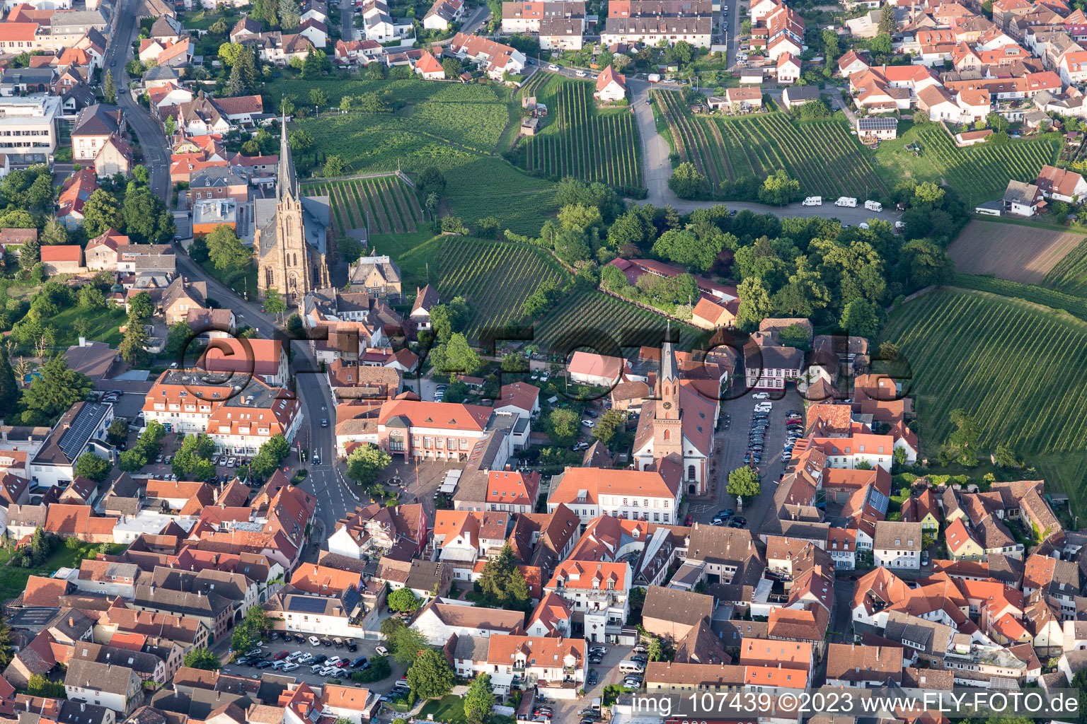 Vue d'oiseau de Edenkoben dans le département Rhénanie-Palatinat, Allemagne