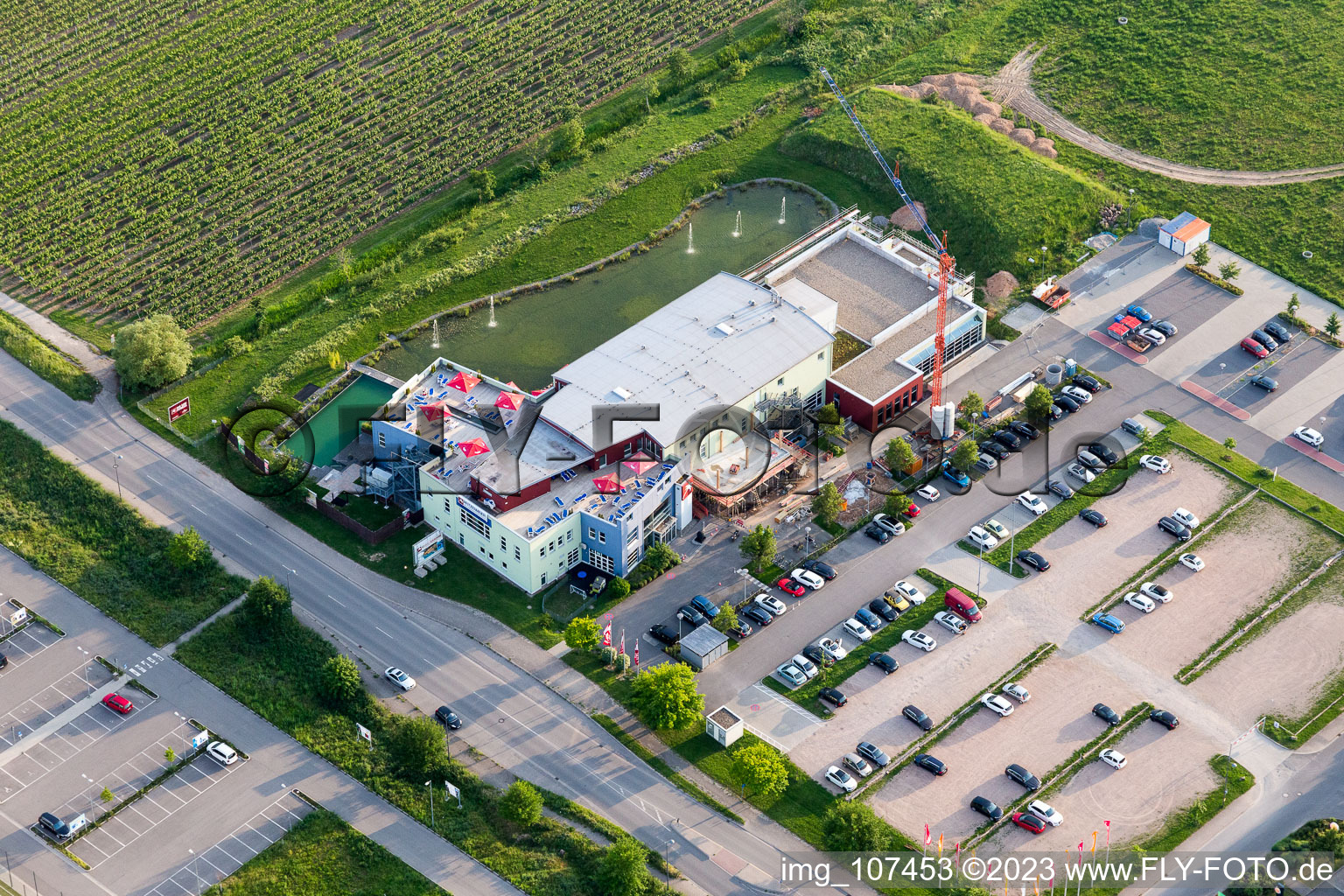 Neustadt an der Weinstraße dans le département Rhénanie-Palatinat, Allemagne depuis l'avion