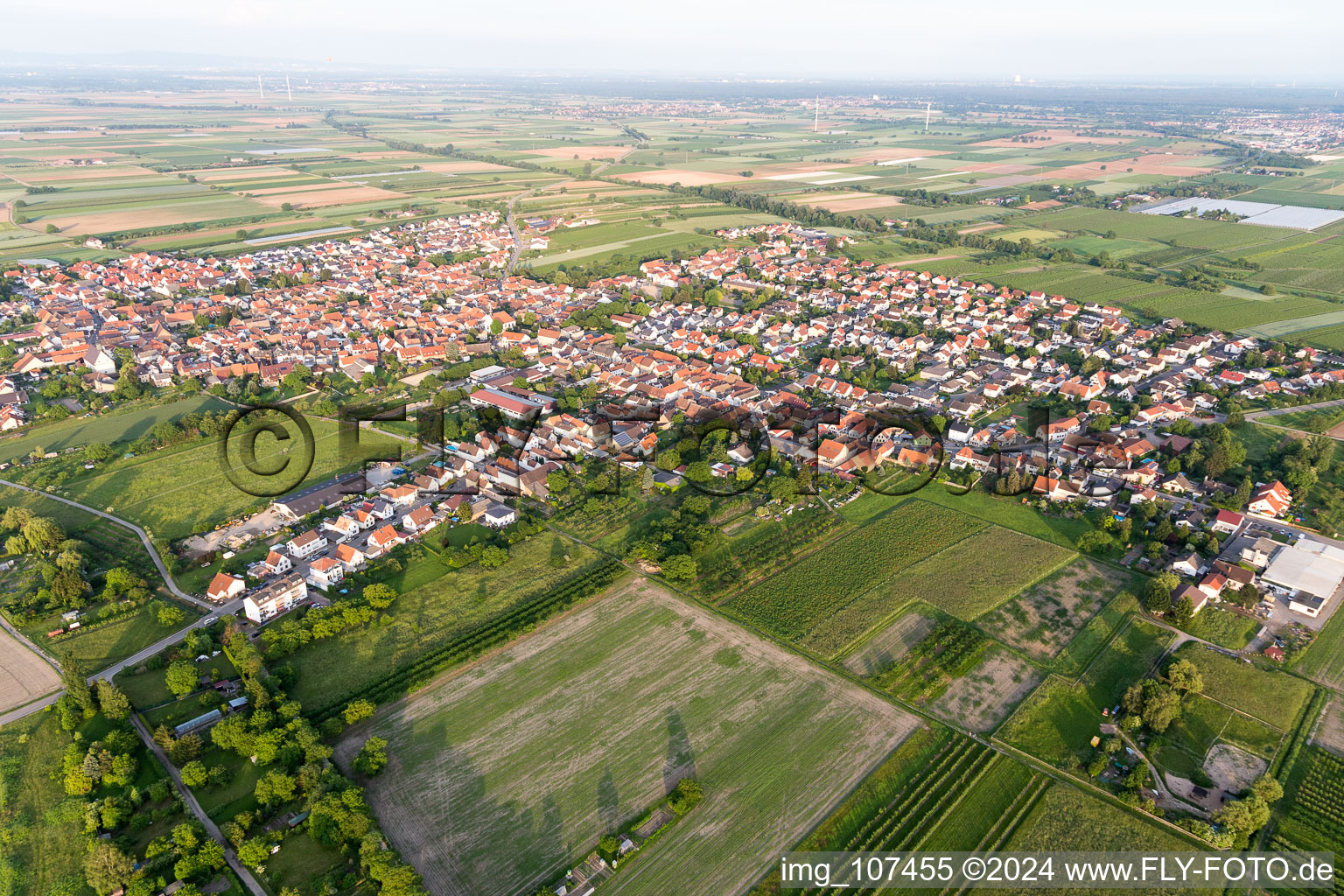 Meckenheim dans le département Rhénanie-Palatinat, Allemagne d'en haut