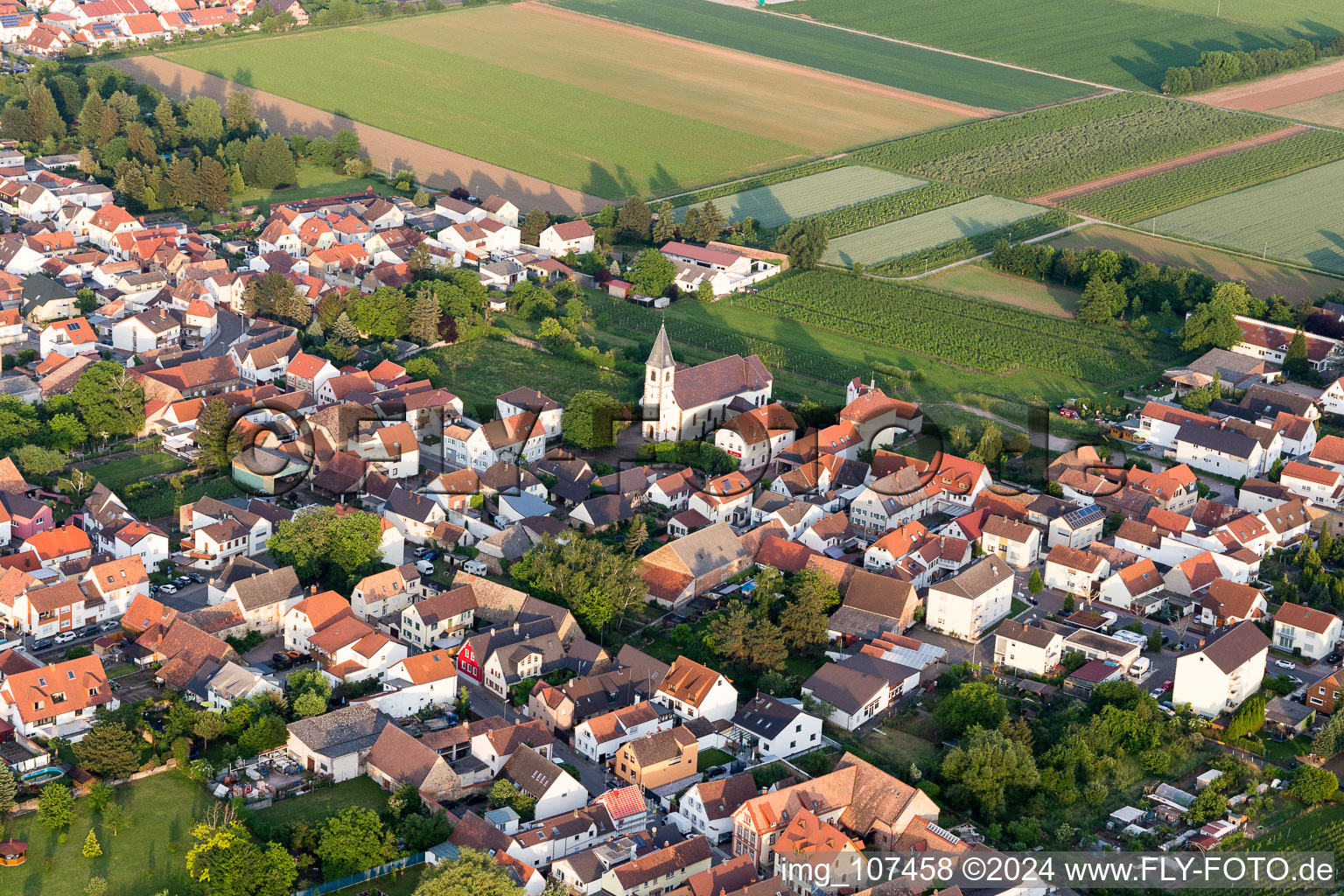 Photographie aérienne de Rödersheim-Gronau dans le département Rhénanie-Palatinat, Allemagne