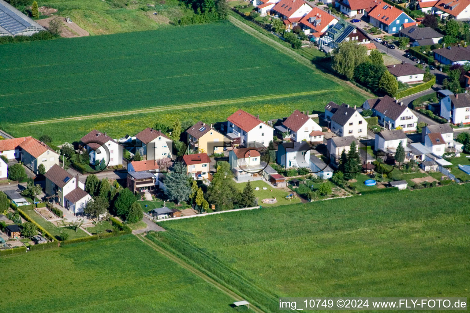 Image drone de Freckenfeld dans le département Rhénanie-Palatinat, Allemagne