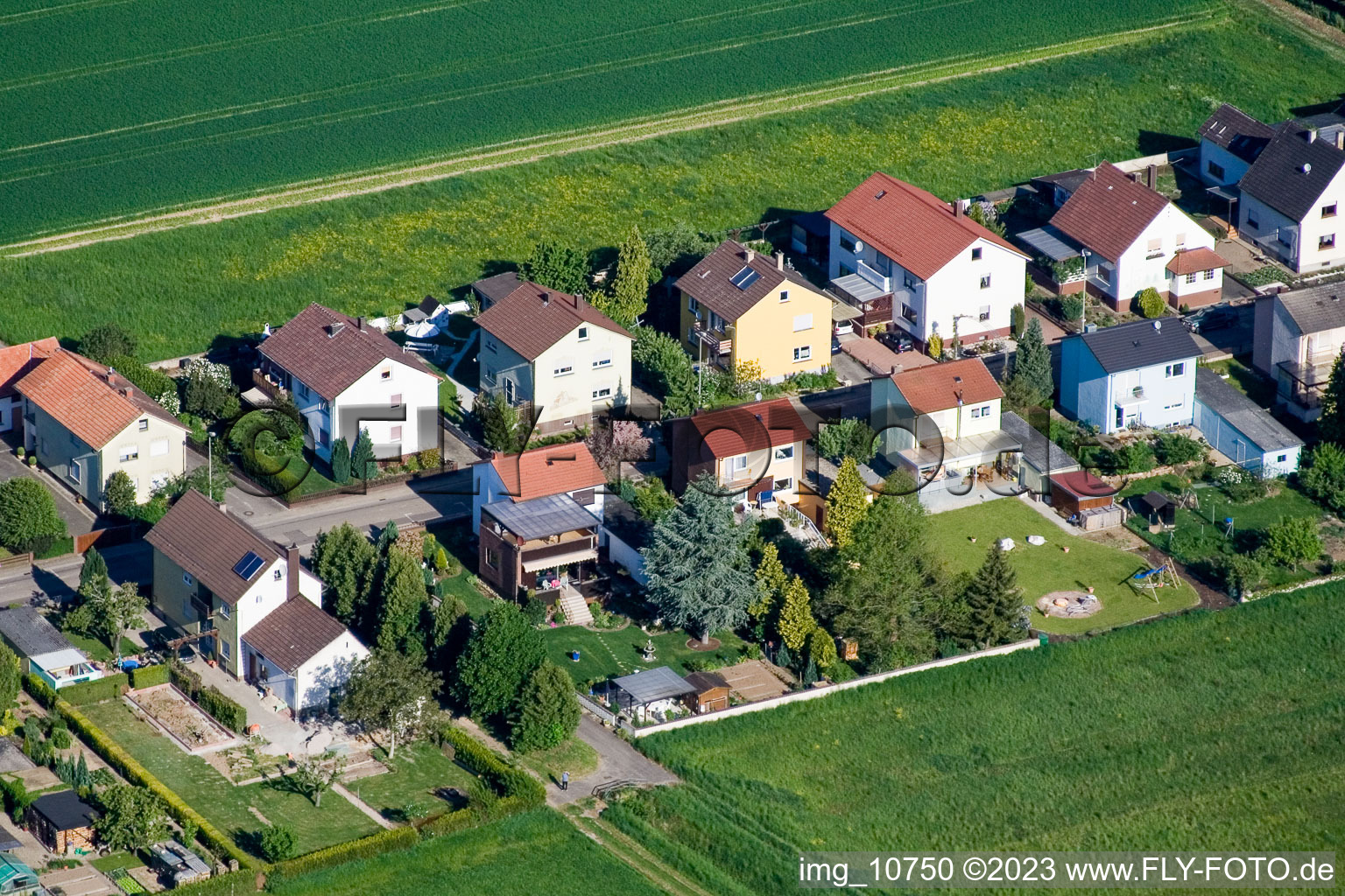 Freckenfeld dans le département Rhénanie-Palatinat, Allemagne du point de vue du drone
