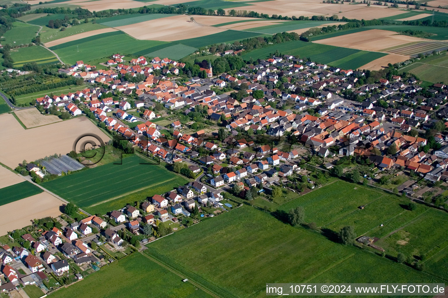 Vue aérienne de Champs agricoles et surfaces utilisables à Freckenfeld dans le département Rhénanie-Palatinat, Allemagne