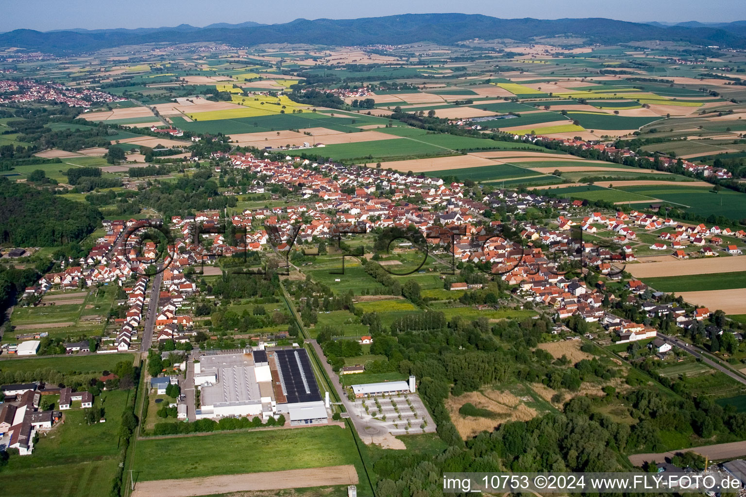 Vue aérienne de De l'est à le quartier Schaidt in Wörth am Rhein dans le département Rhénanie-Palatinat, Allemagne