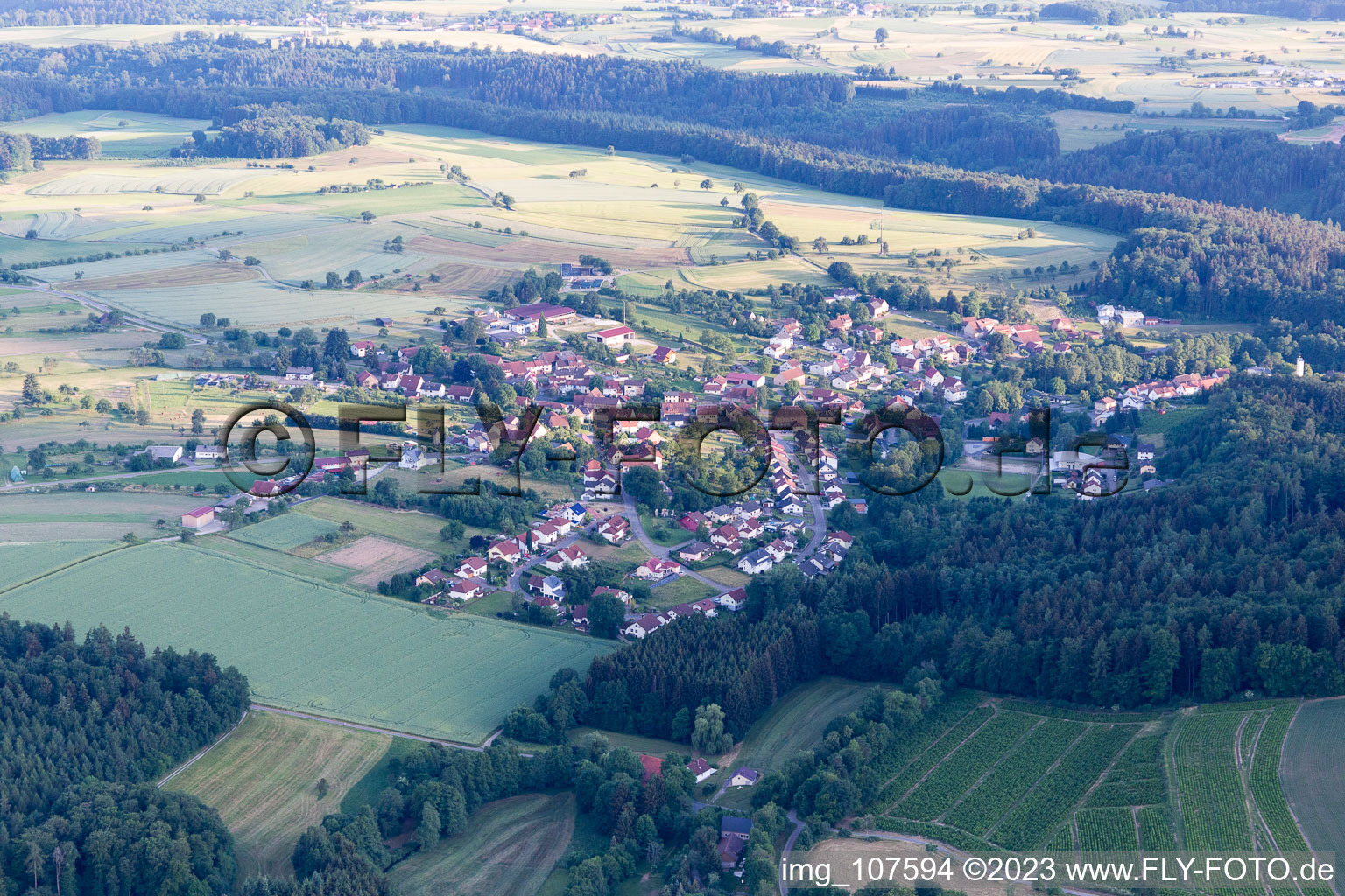 Vue aérienne de Trienz dans le département Bade-Wurtemberg, Allemagne