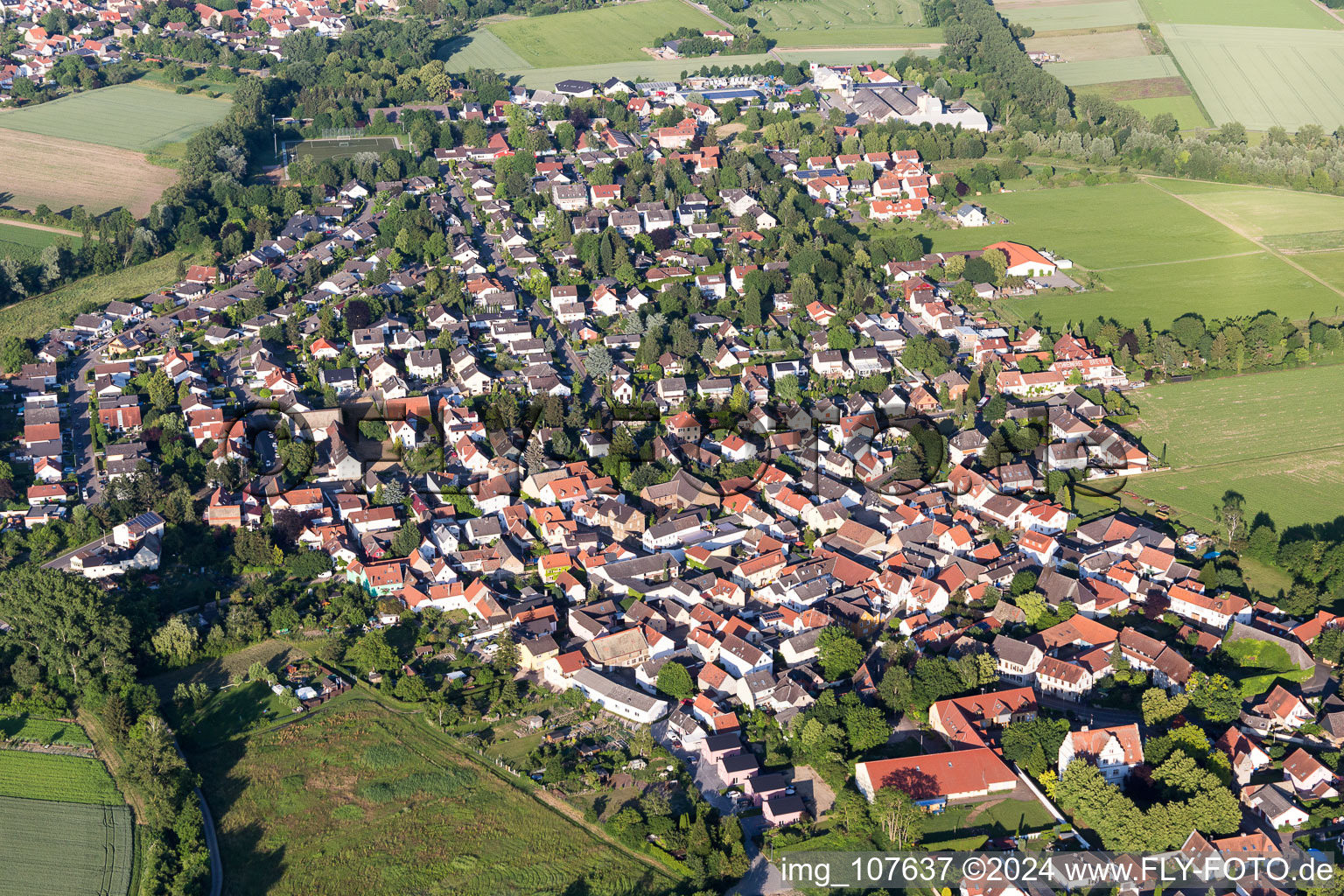 Vue aérienne de Hahnheim dans le département Rhénanie-Palatinat, Allemagne