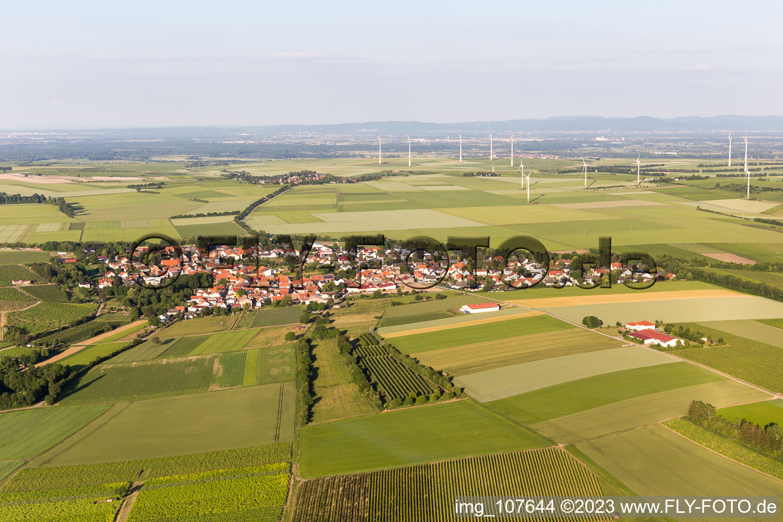 Vue aérienne de Dolgesheim dans le département Rhénanie-Palatinat, Allemagne
