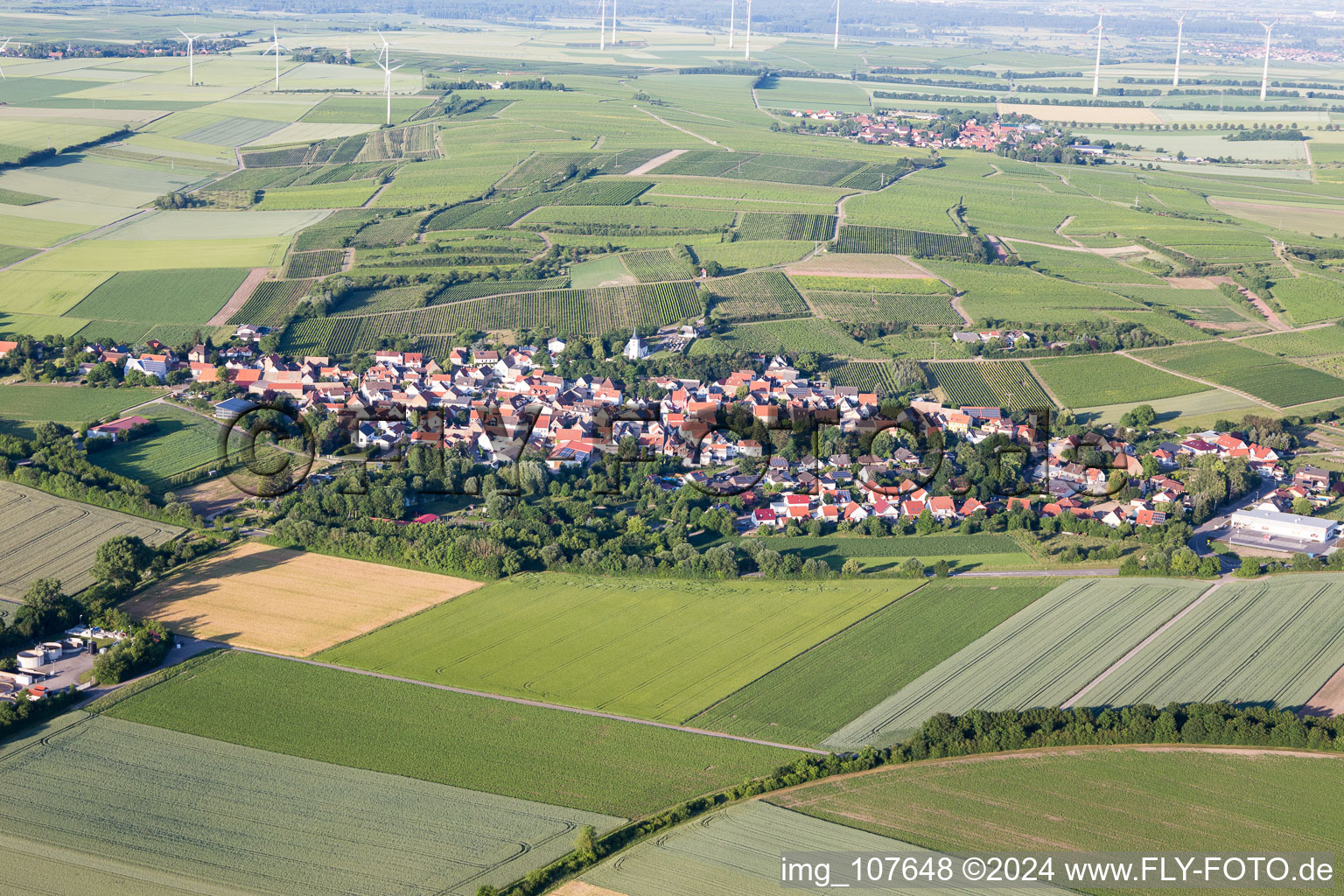 Vue oblique de Hillesheim dans le département Rhénanie-Palatinat, Allemagne