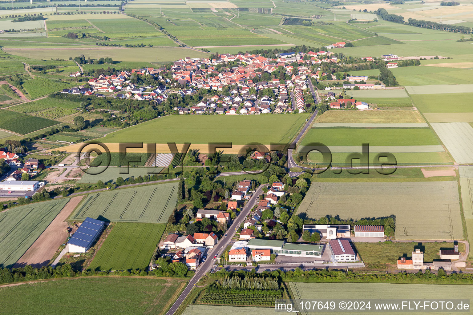 Vue aérienne de Dorn-Dürkheim dans le département Rhénanie-Palatinat, Allemagne
