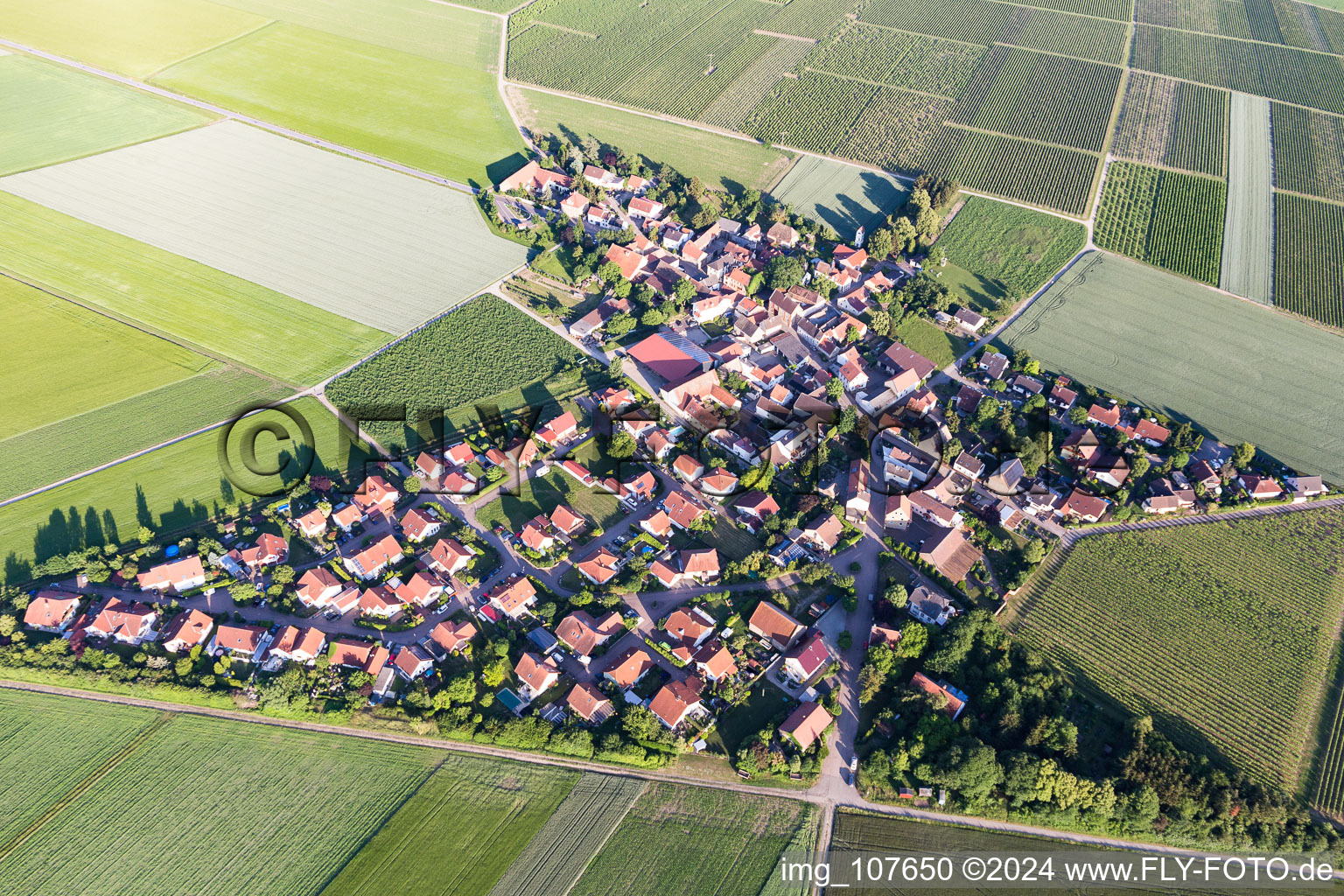 Photographie aérienne de Frettenheim dans le département Rhénanie-Palatinat, Allemagne