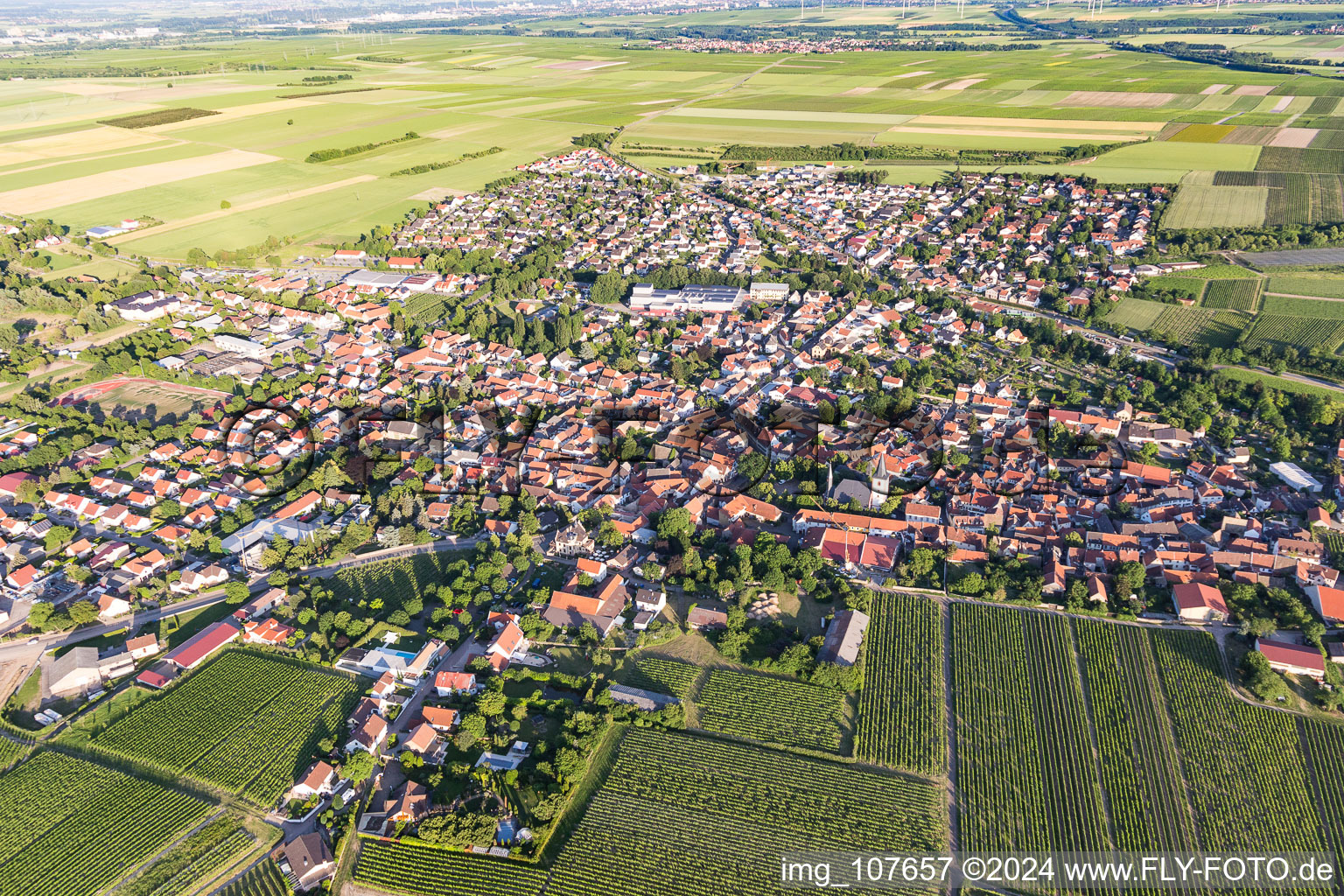 Westhofen dans le département Rhénanie-Palatinat, Allemagne vue du ciel