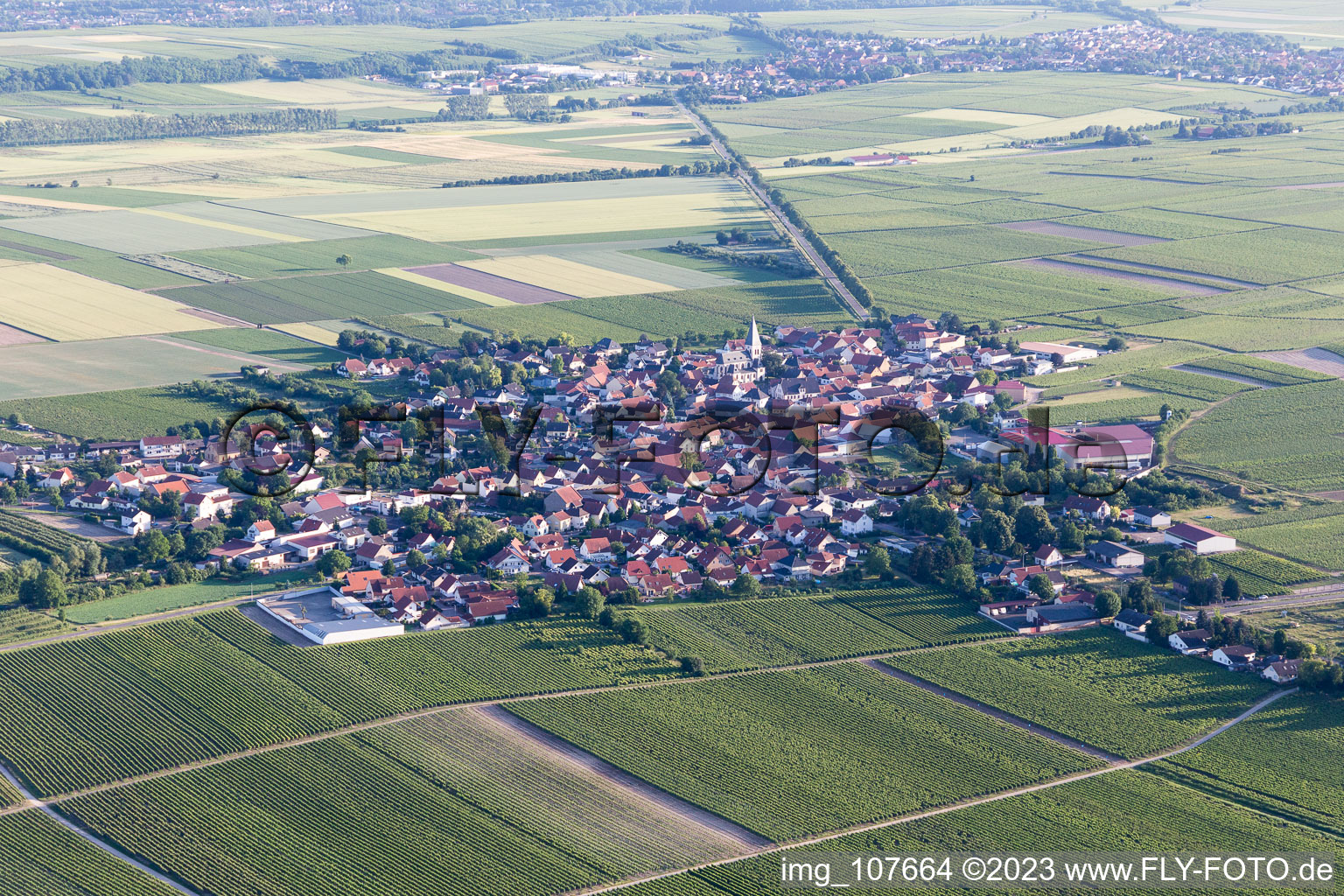 Vue aérienne de Gundheim dans le département Rhénanie-Palatinat, Allemagne