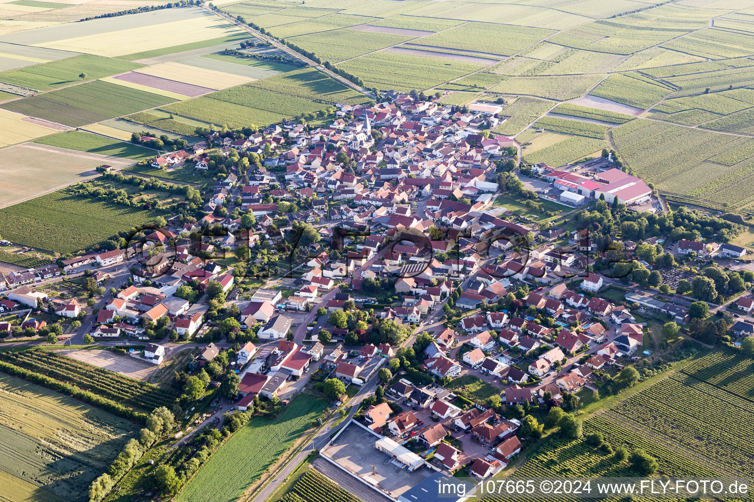 Photographie aérienne de Gundheim dans le département Rhénanie-Palatinat, Allemagne