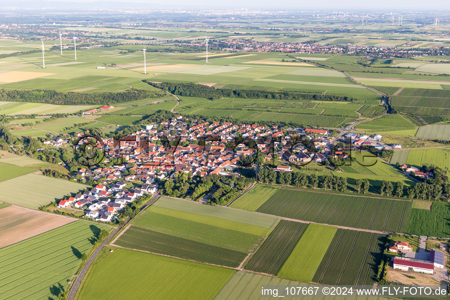 Vue aérienne de Mörstadt dans le département Rhénanie-Palatinat, Allemagne