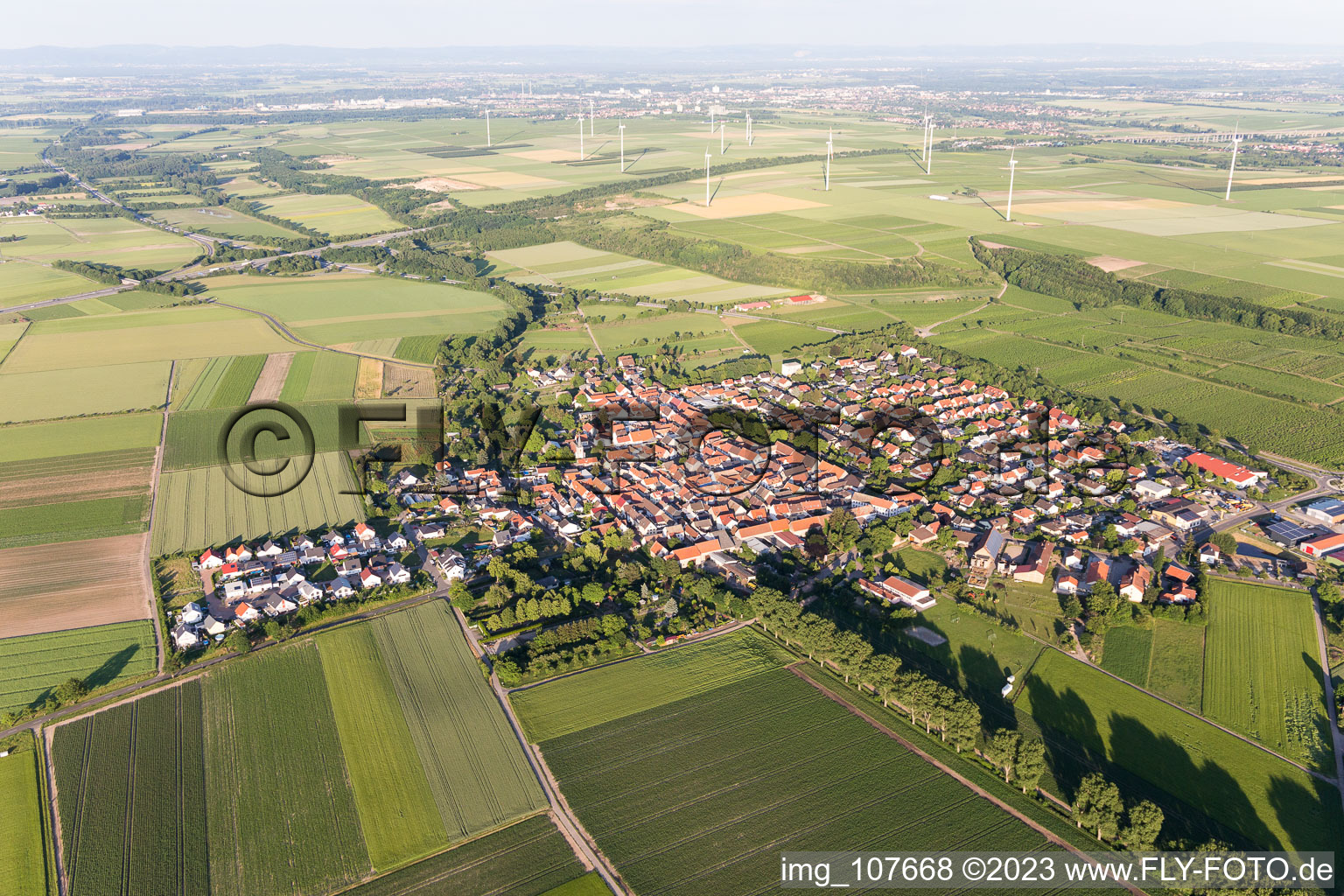 Vue aérienne de Mörstadt dans le département Rhénanie-Palatinat, Allemagne