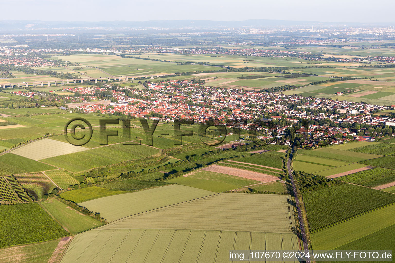 Photographie aérienne de Quartier Pfeddersheim in Worms dans le département Rhénanie-Palatinat, Allemagne