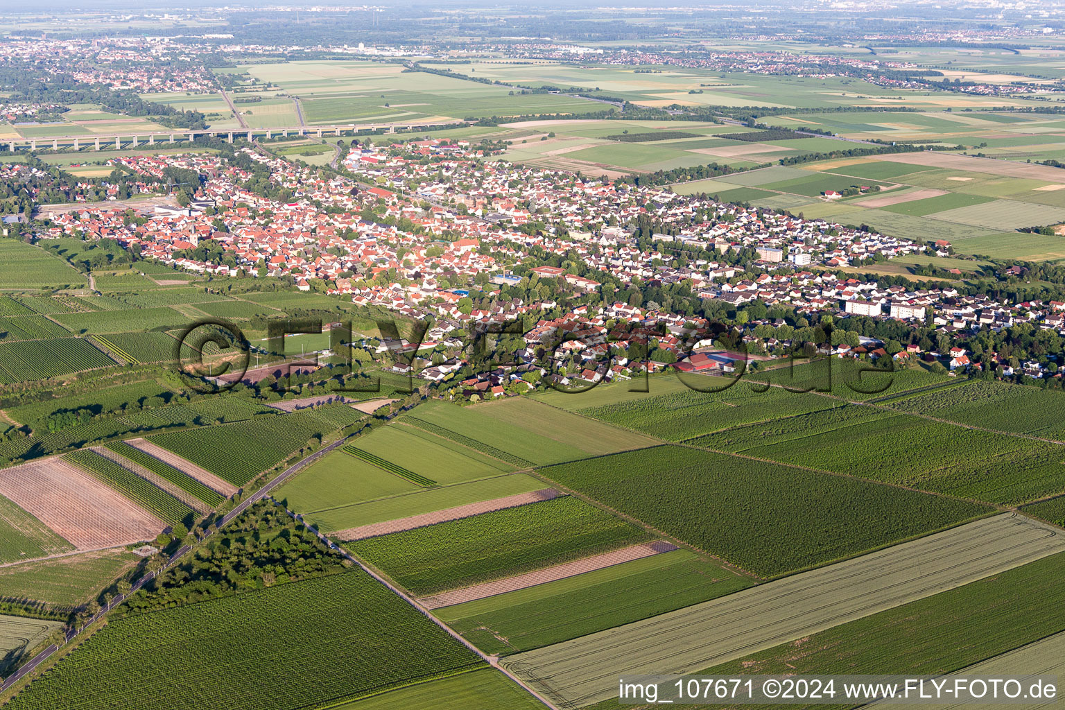 Vue oblique de Quartier Pfeddersheim in Worms dans le département Rhénanie-Palatinat, Allemagne