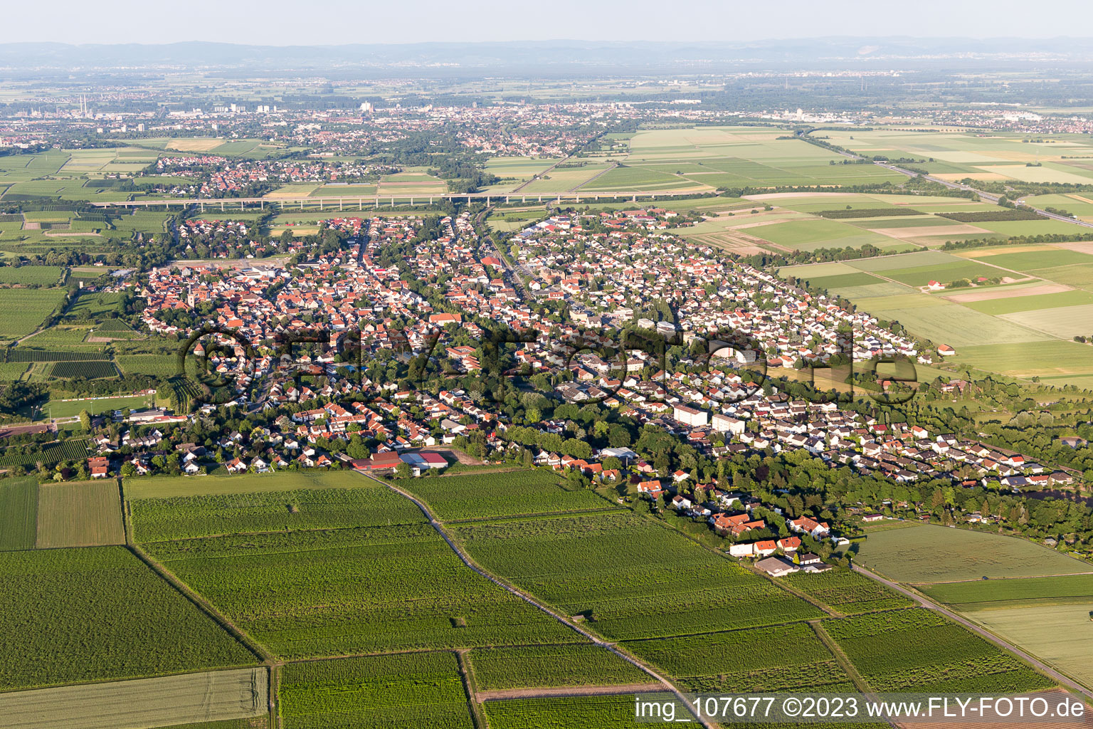 Quartier Pfeddersheim in Worms dans le département Rhénanie-Palatinat, Allemagne d'en haut