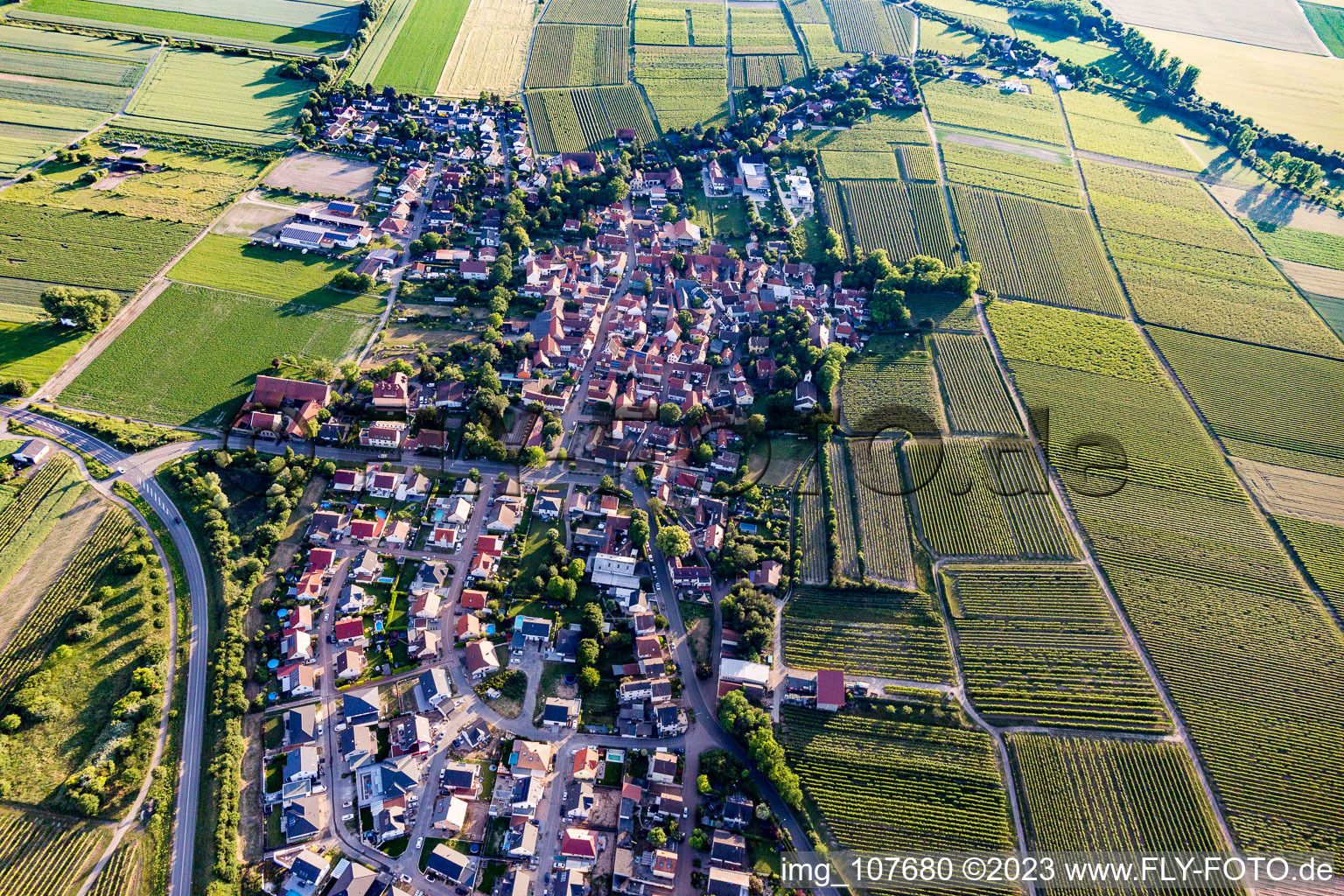 Photographie aérienne de Hohen-Sülzen dans le département Rhénanie-Palatinat, Allemagne