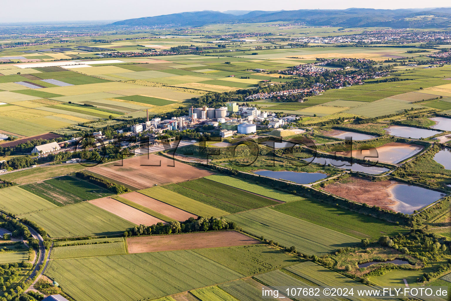 Vue aérienne de Réservoir de traitement des eaux usées pour le traitement des eaux usées de l'usine sucrière Südzucker AG (Palatinat) à Obrigheim dans le département Rhénanie-Palatinat, Allemagne