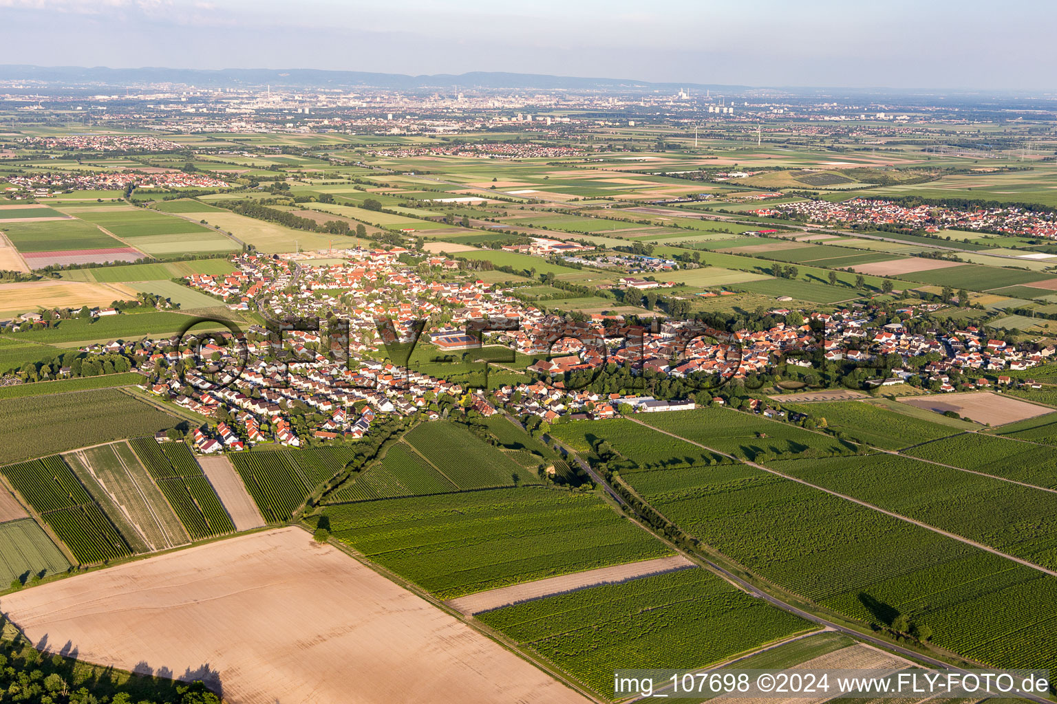 Vue aérienne de Dirmstein dans le département Rhénanie-Palatinat, Allemagne