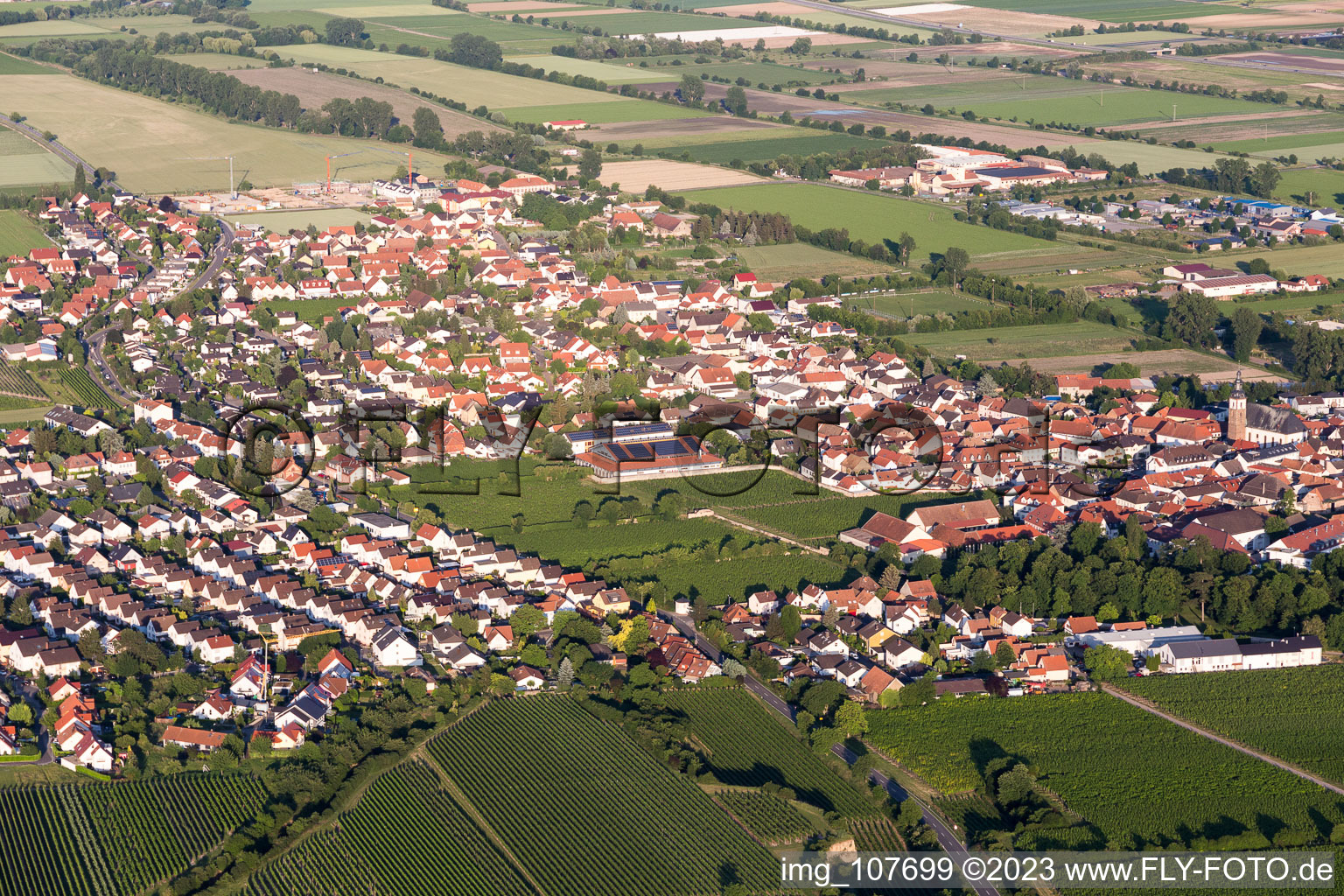 Vue aérienne de Dirmstein dans le département Rhénanie-Palatinat, Allemagne