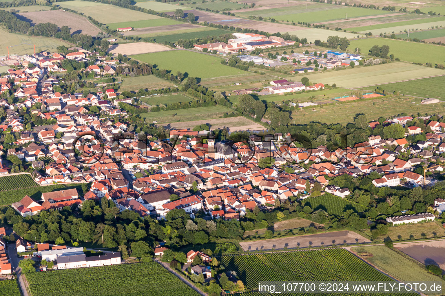 Photographie aérienne de Dirmstein dans le département Rhénanie-Palatinat, Allemagne