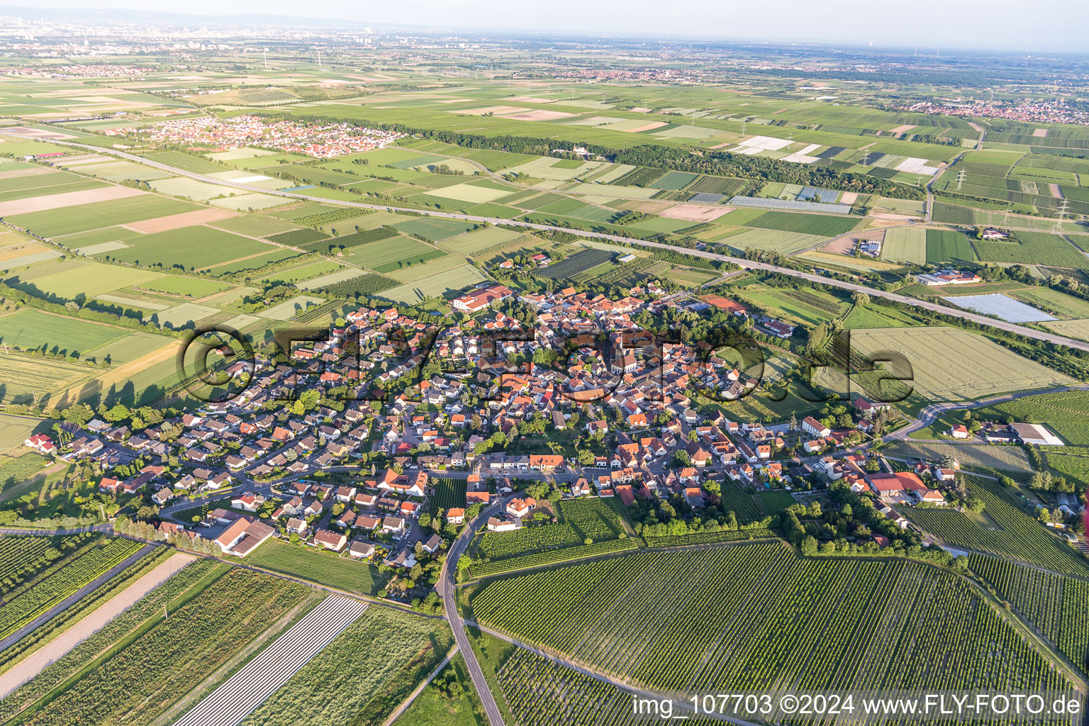 Vue aérienne de Laumersheim dans le département Rhénanie-Palatinat, Allemagne