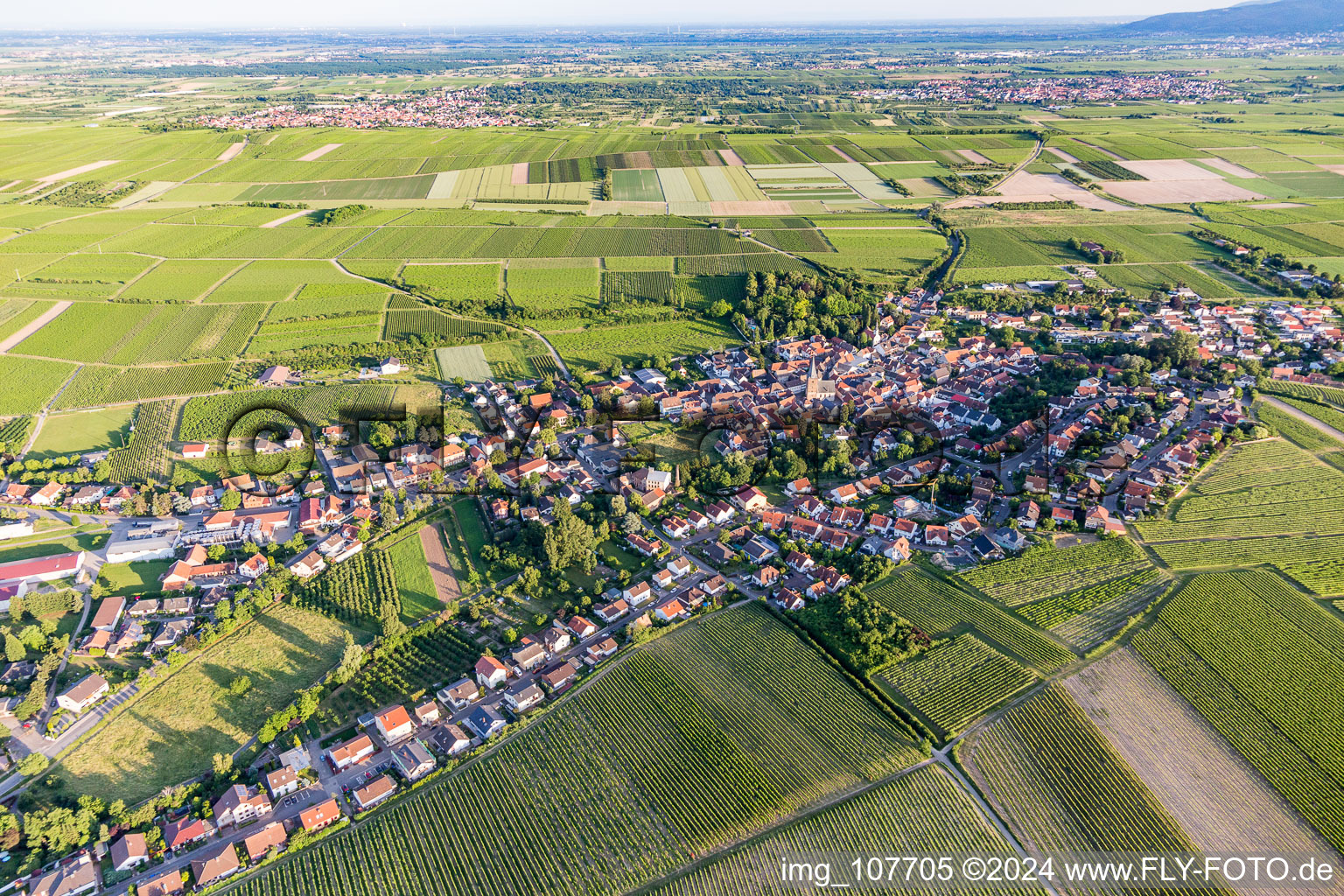 Vue aérienne de Vue sur la commune en bordure de champs agricoles et de zones agricoles à Großkarlbach dans le département Rhénanie-Palatinat, Allemagne