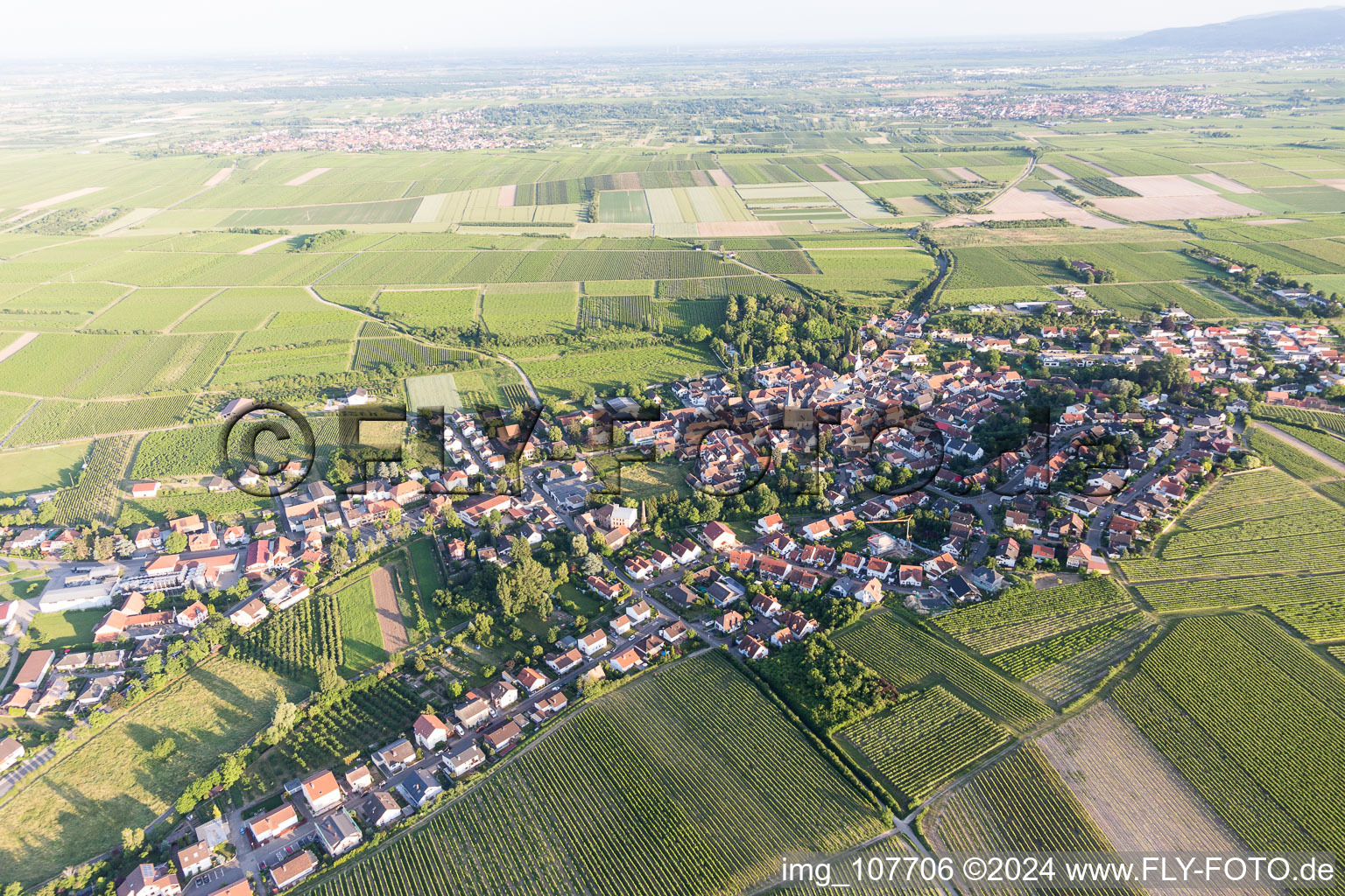 Vue aérienne de Großkarlbach dans le département Rhénanie-Palatinat, Allemagne