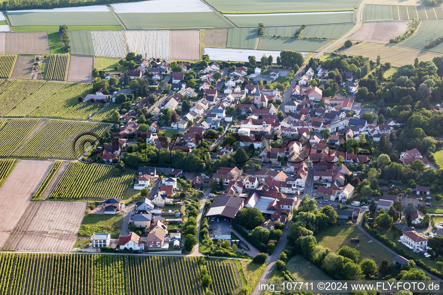 Vue aérienne de Bissersheim dans le département Rhénanie-Palatinat, Allemagne