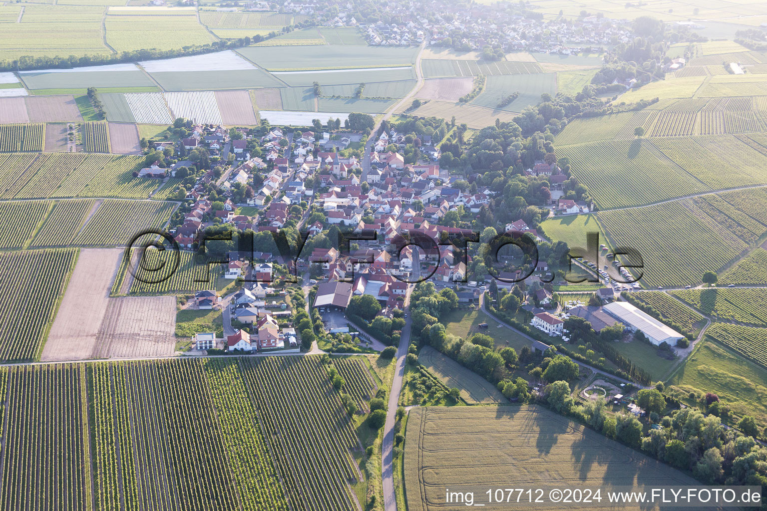 Vue aérienne de Bissersheim dans le département Rhénanie-Palatinat, Allemagne