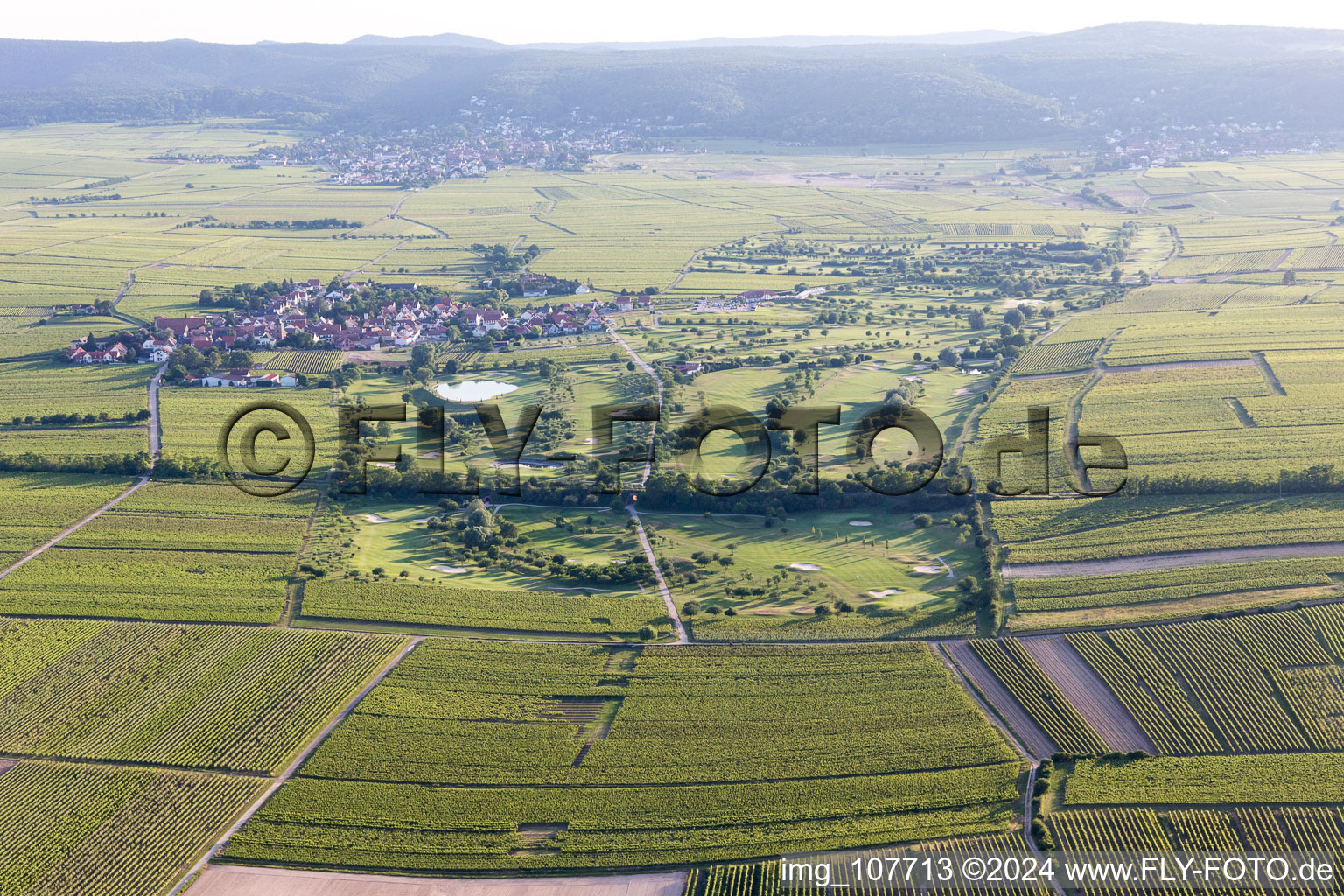 Photographie aérienne de Terrain de golf à Dackenheim dans le département Rhénanie-Palatinat, Allemagne